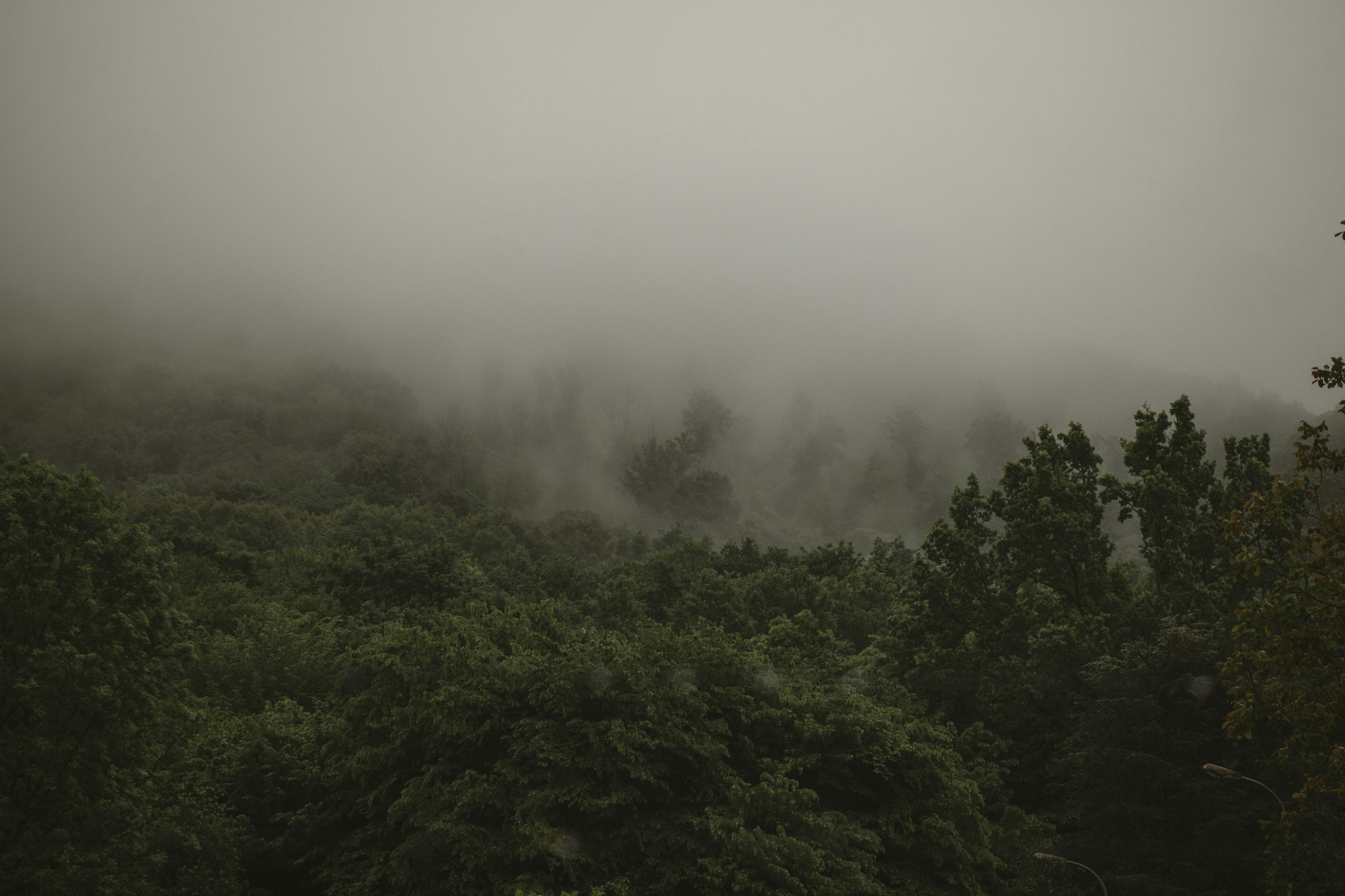 Photo by i_am_simoesse