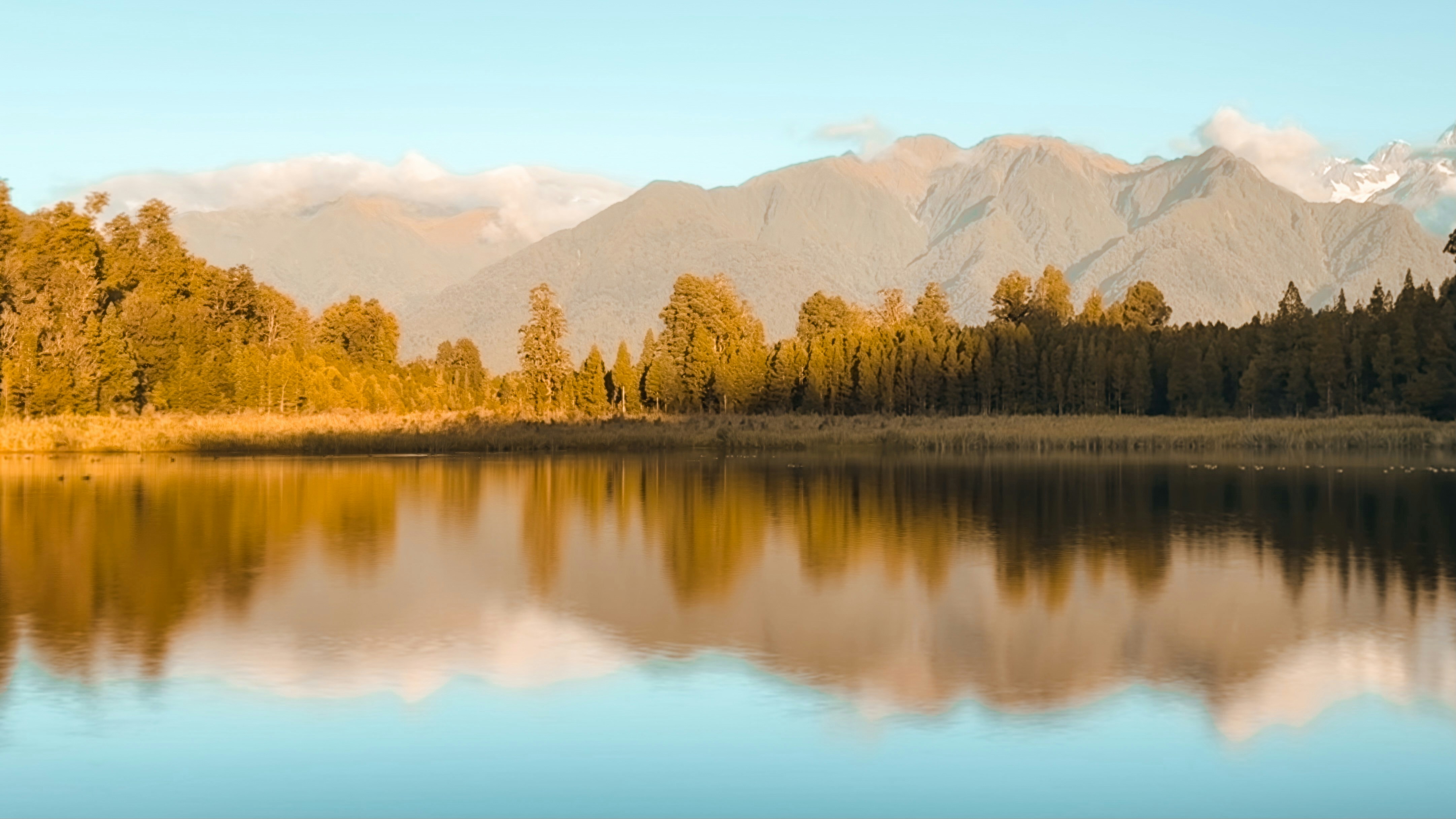 Wish and regret structures for reflective discussions