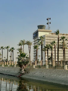 Palm trees and a building by a waterway.