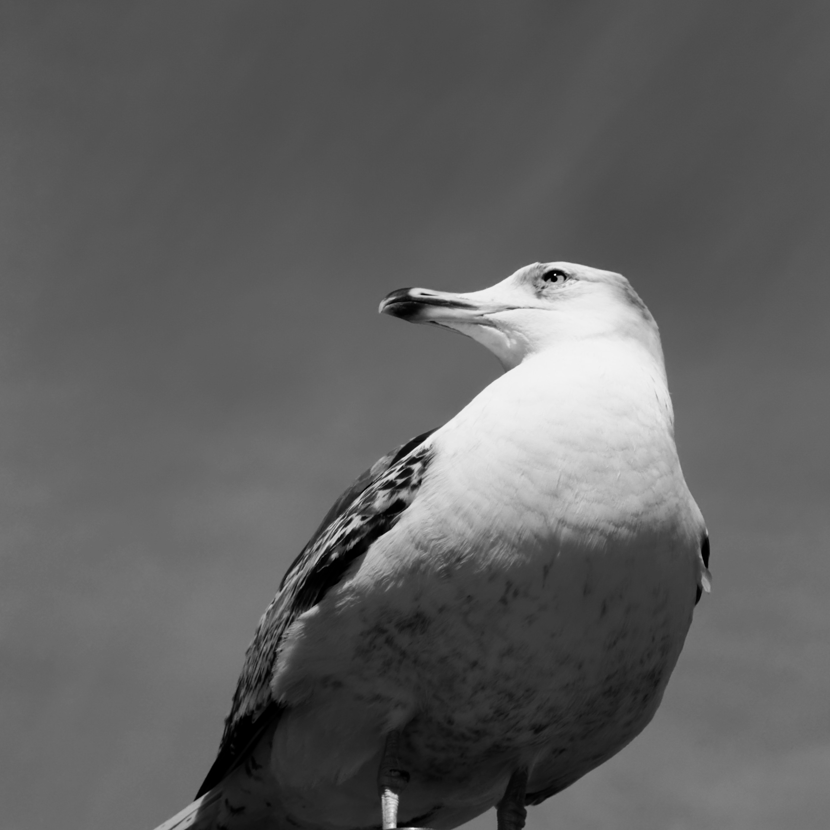 Photo by parsa_farjam