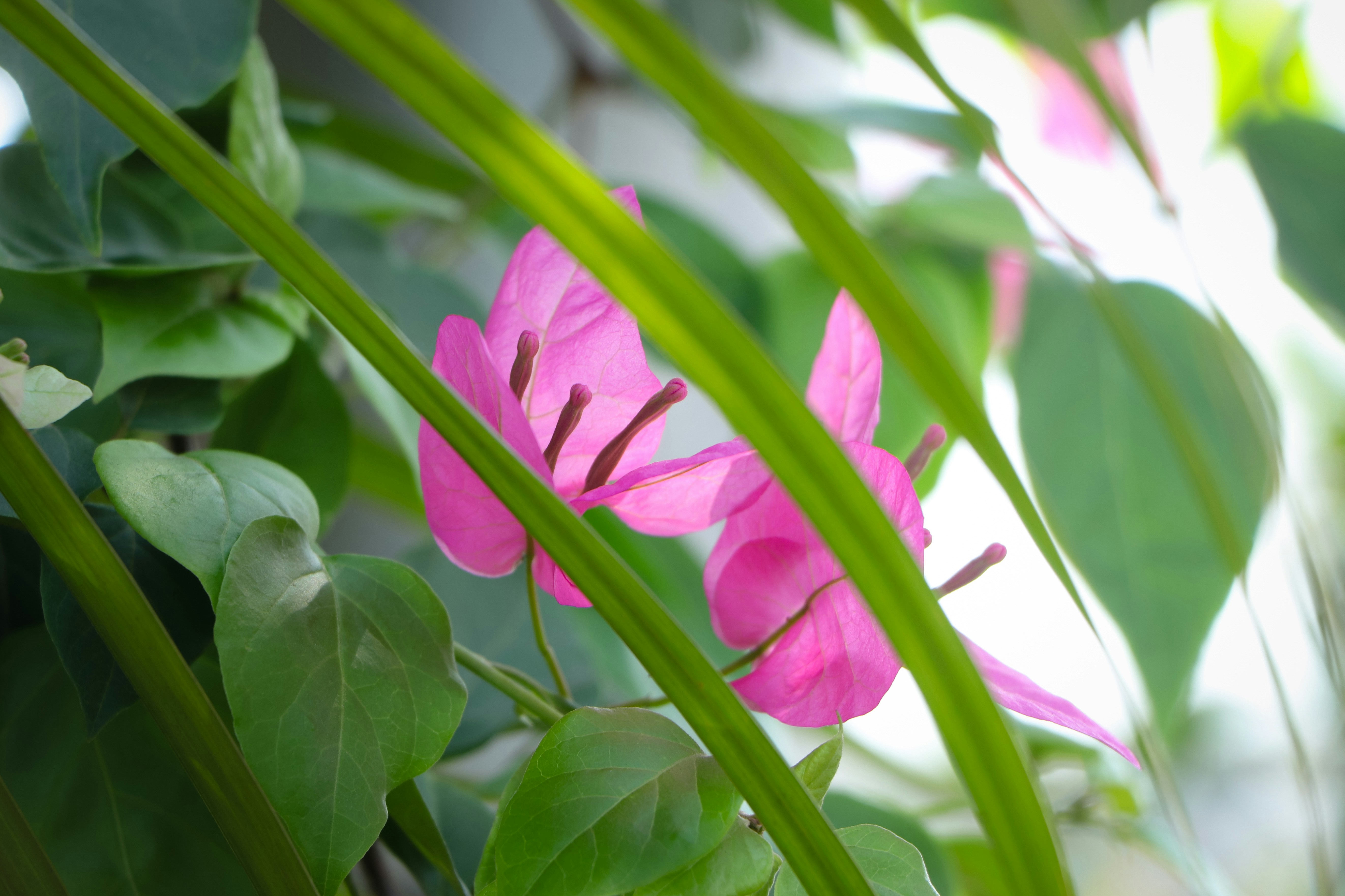 Photo by adventurelife24