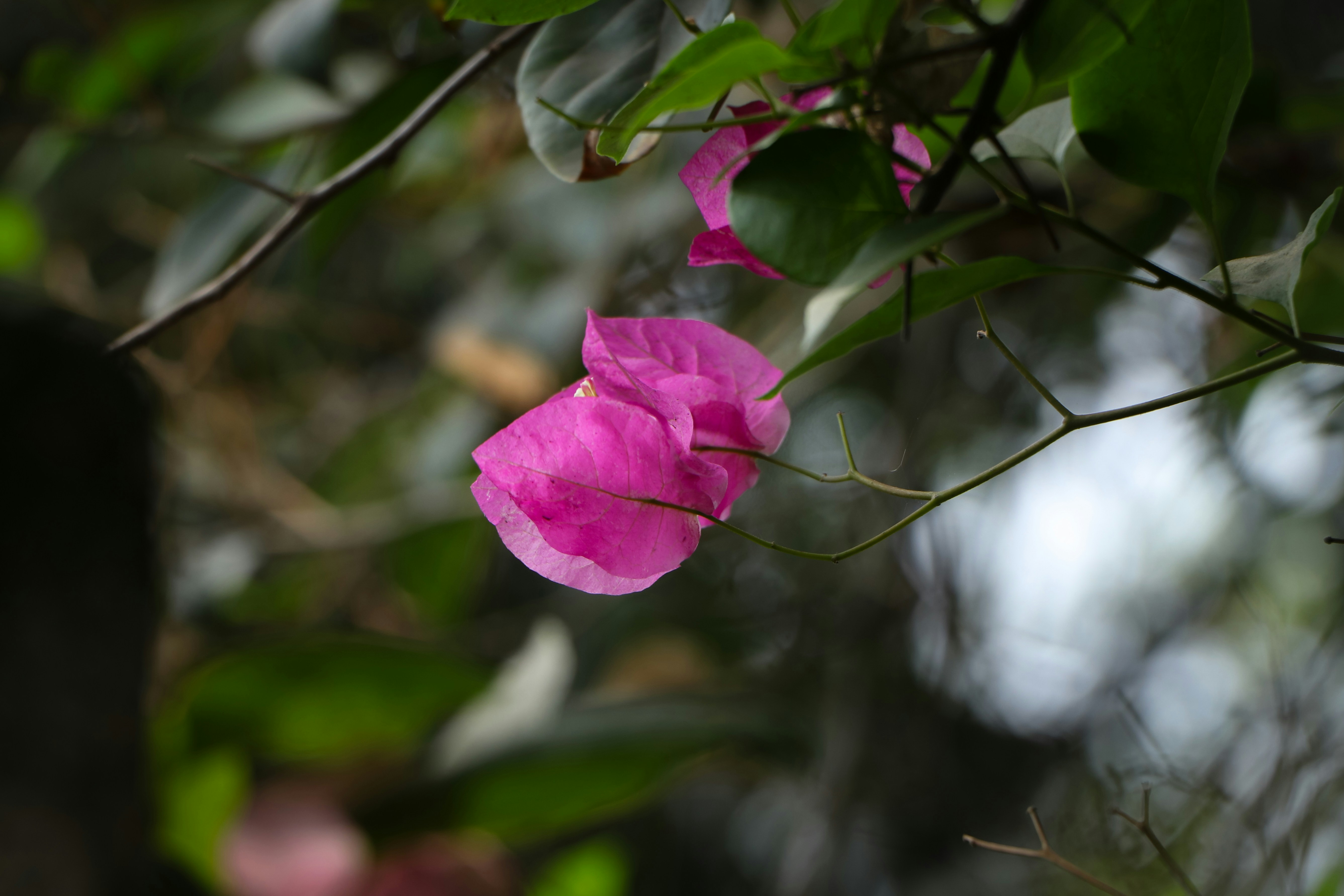 Photo by adventurelife24