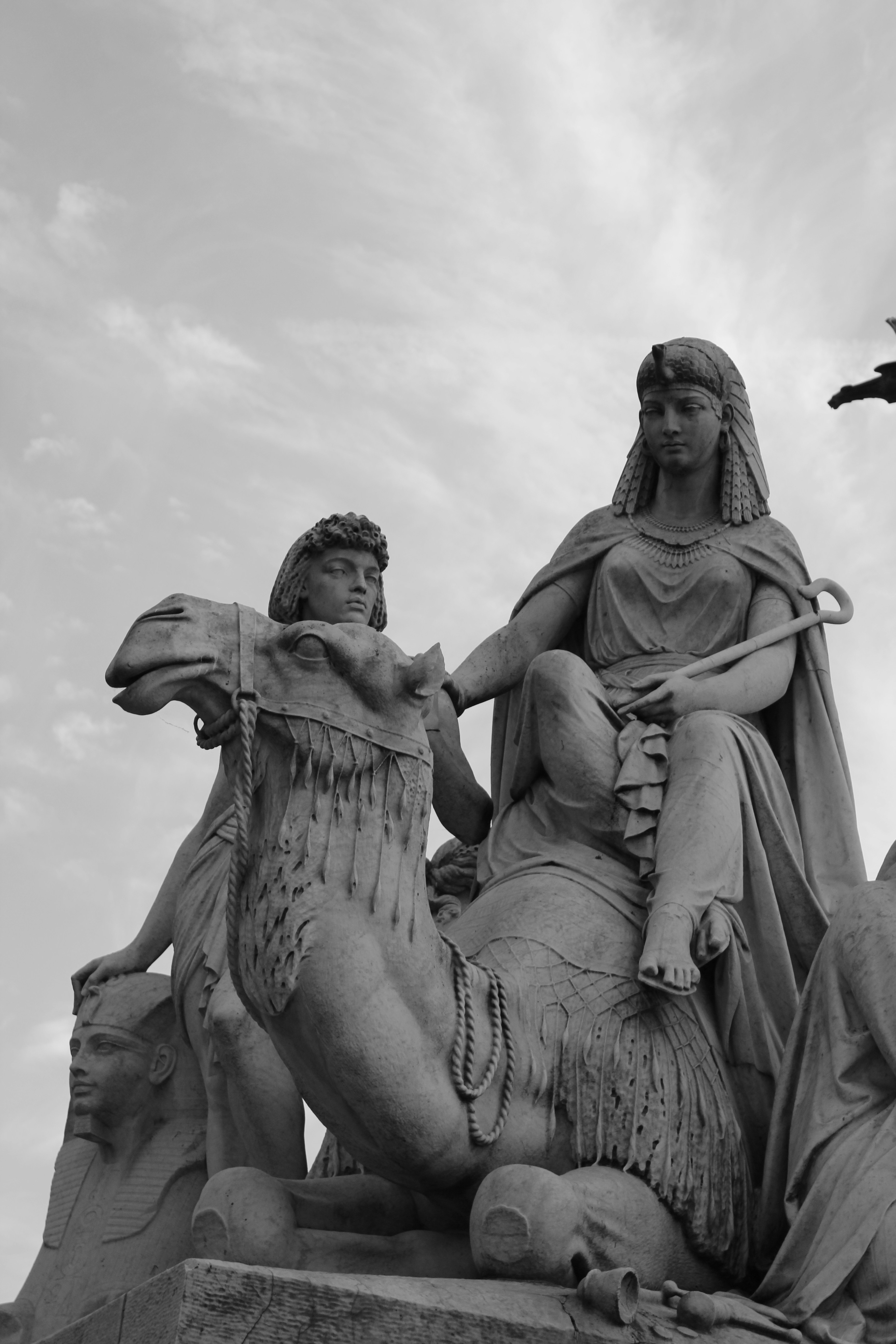 Photo by amirarsalan93