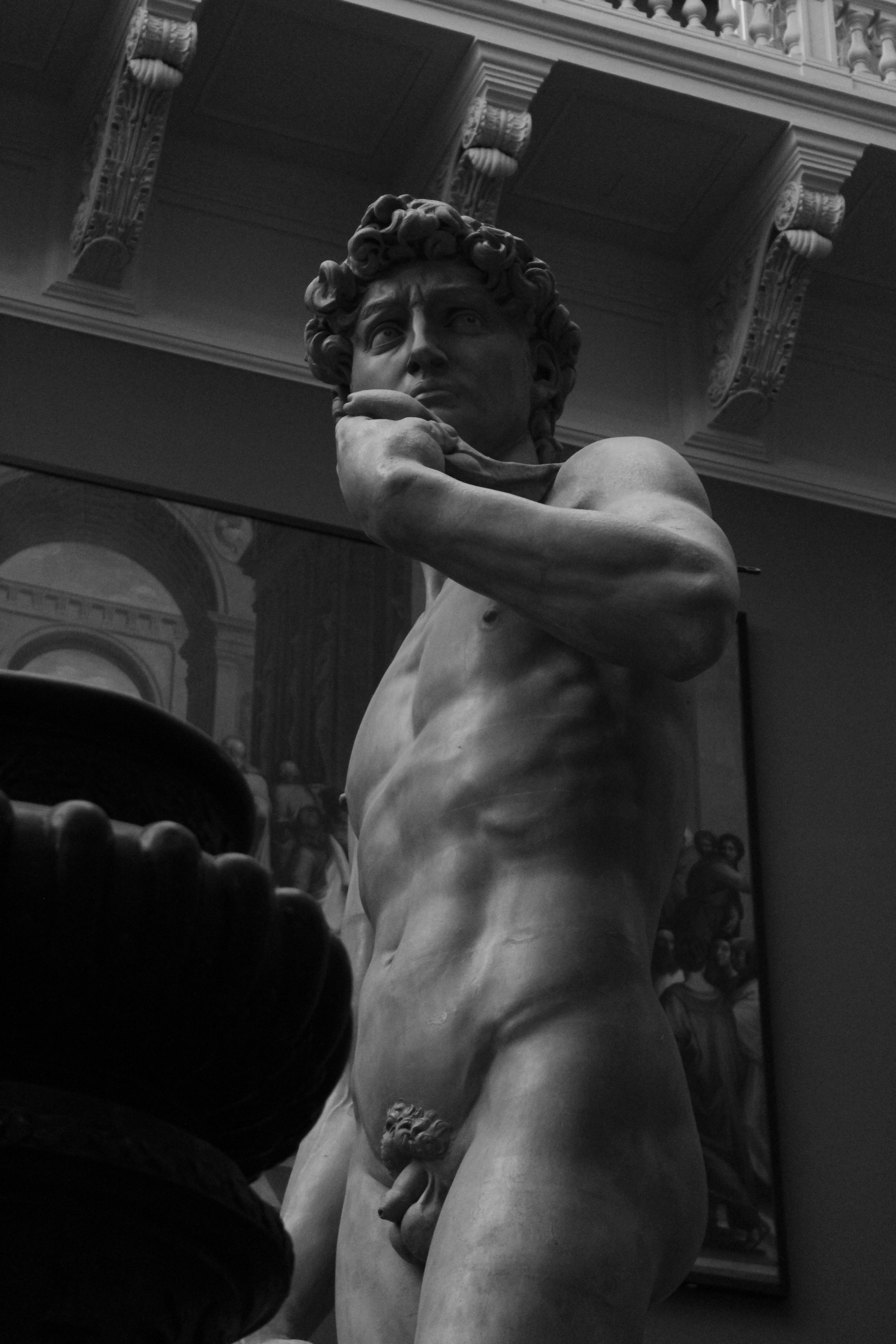 Photo by amirarsalan93