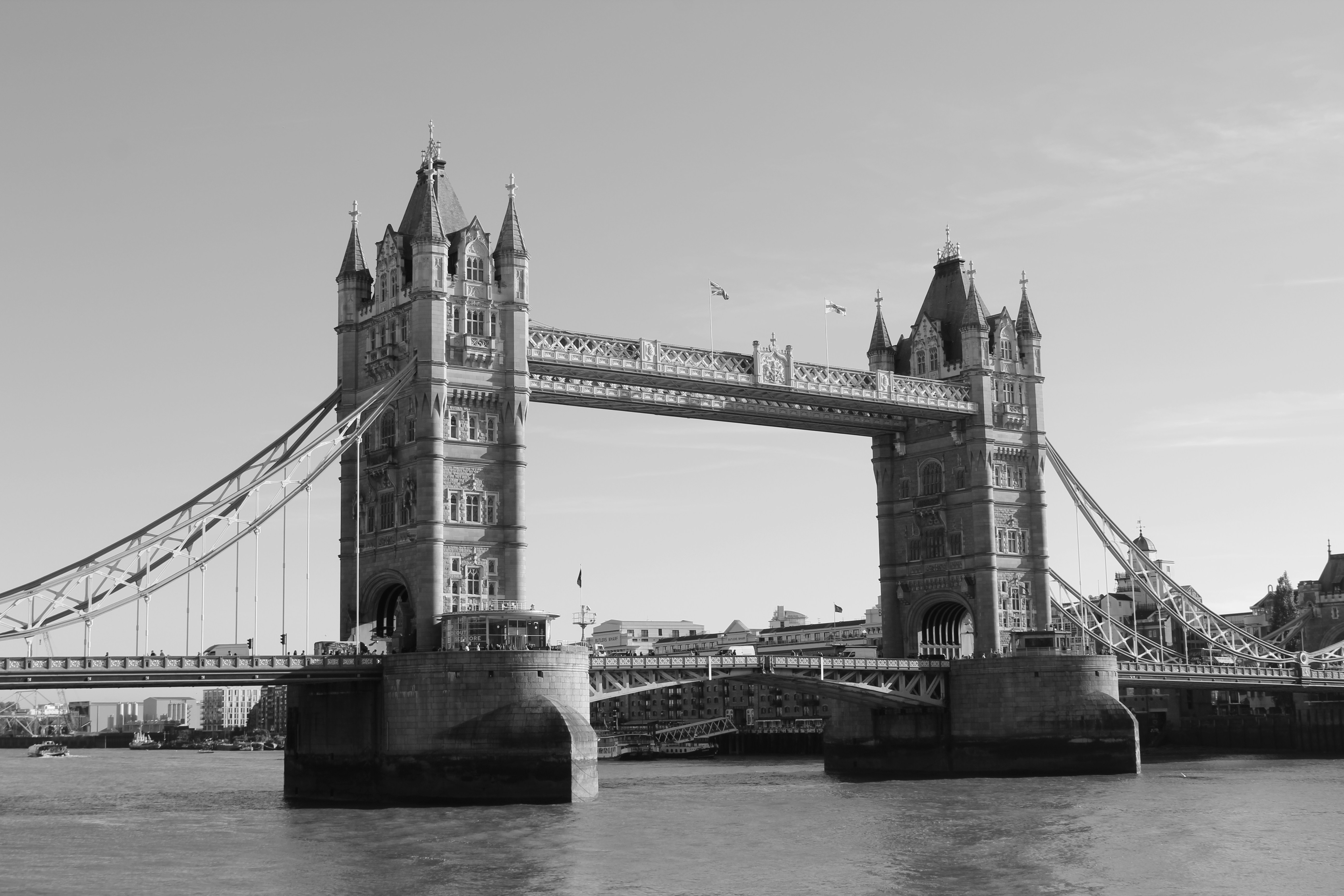 Photo by amirarsalan93