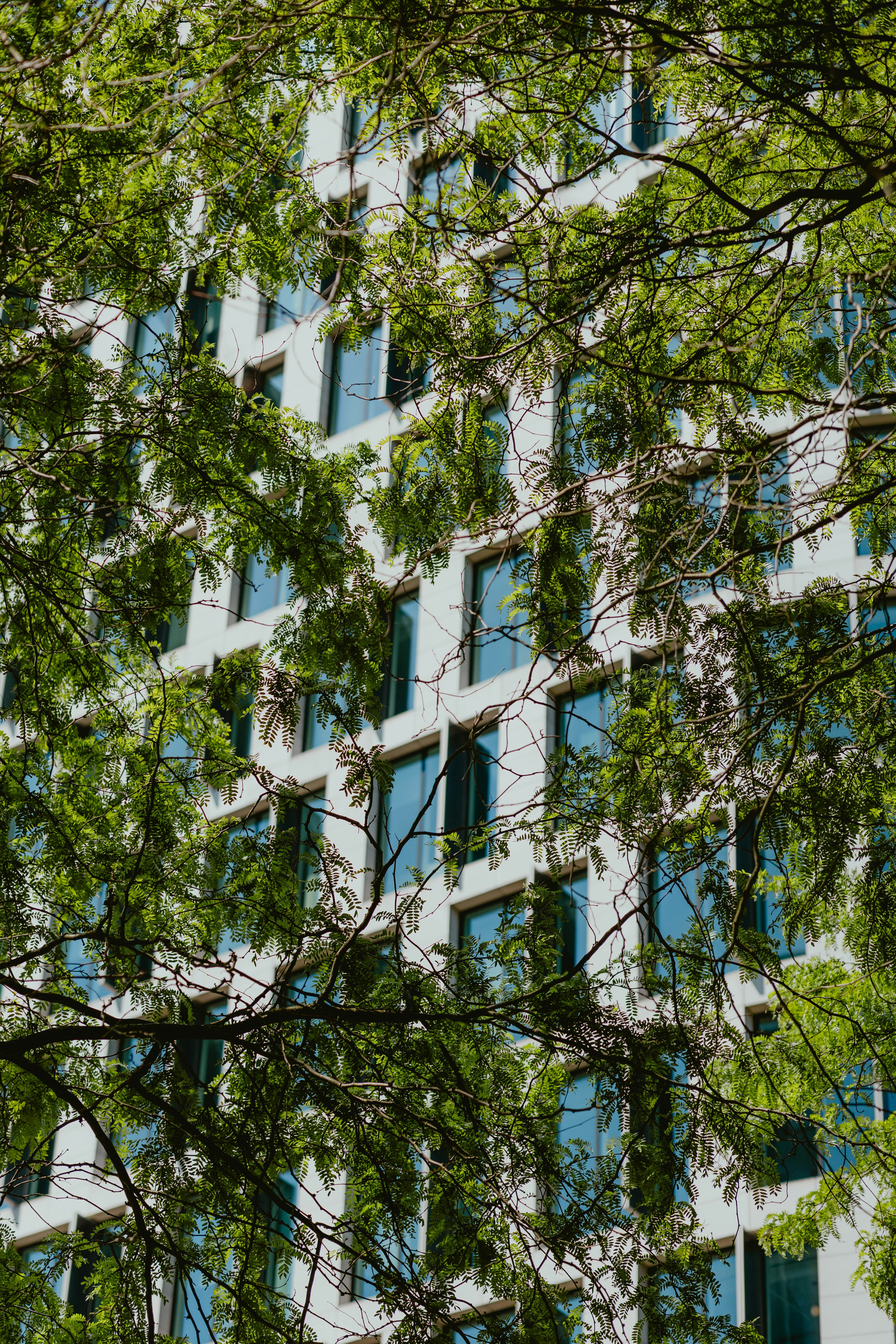 Photo by alingavriliuc