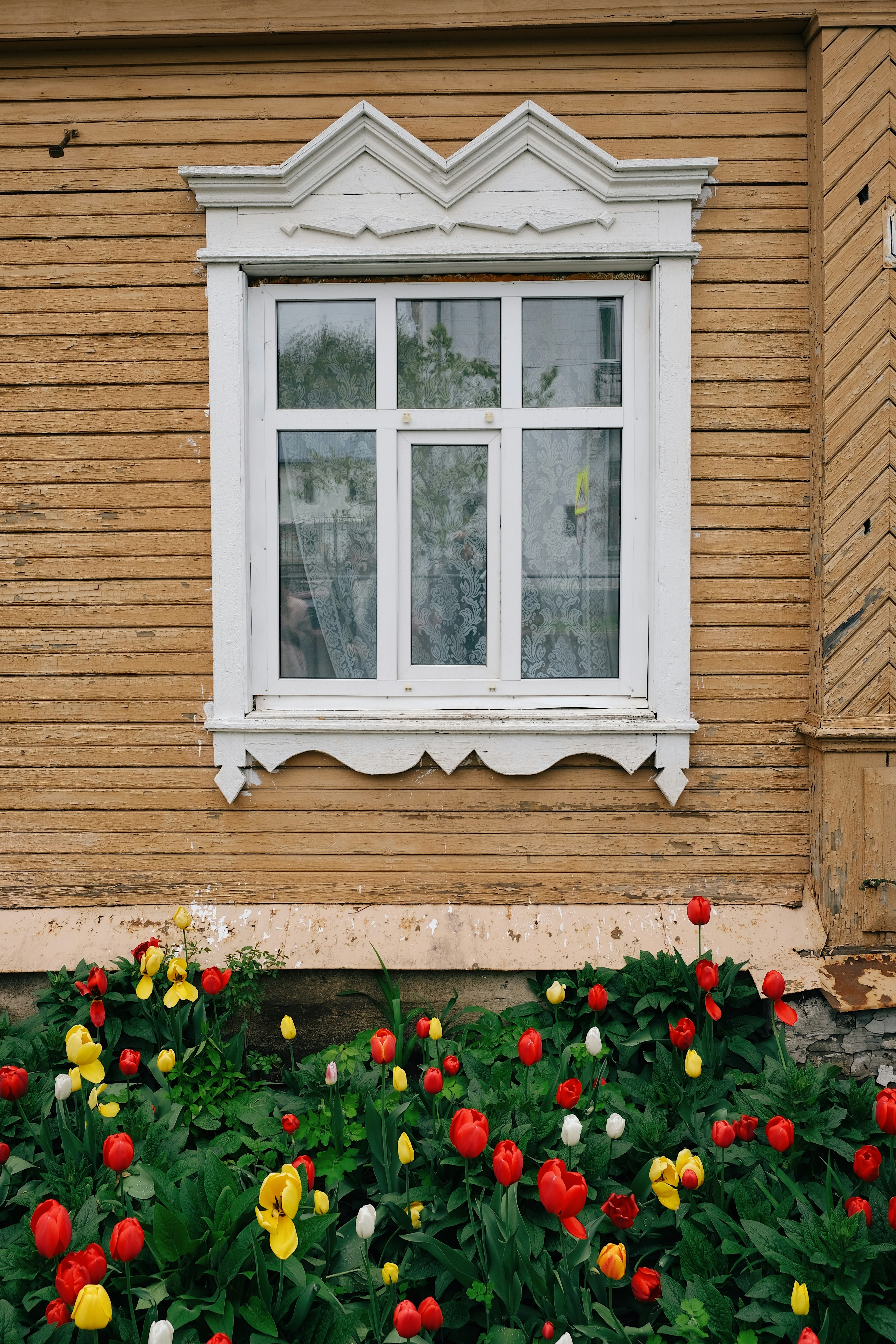 Photo by alex_akimenko