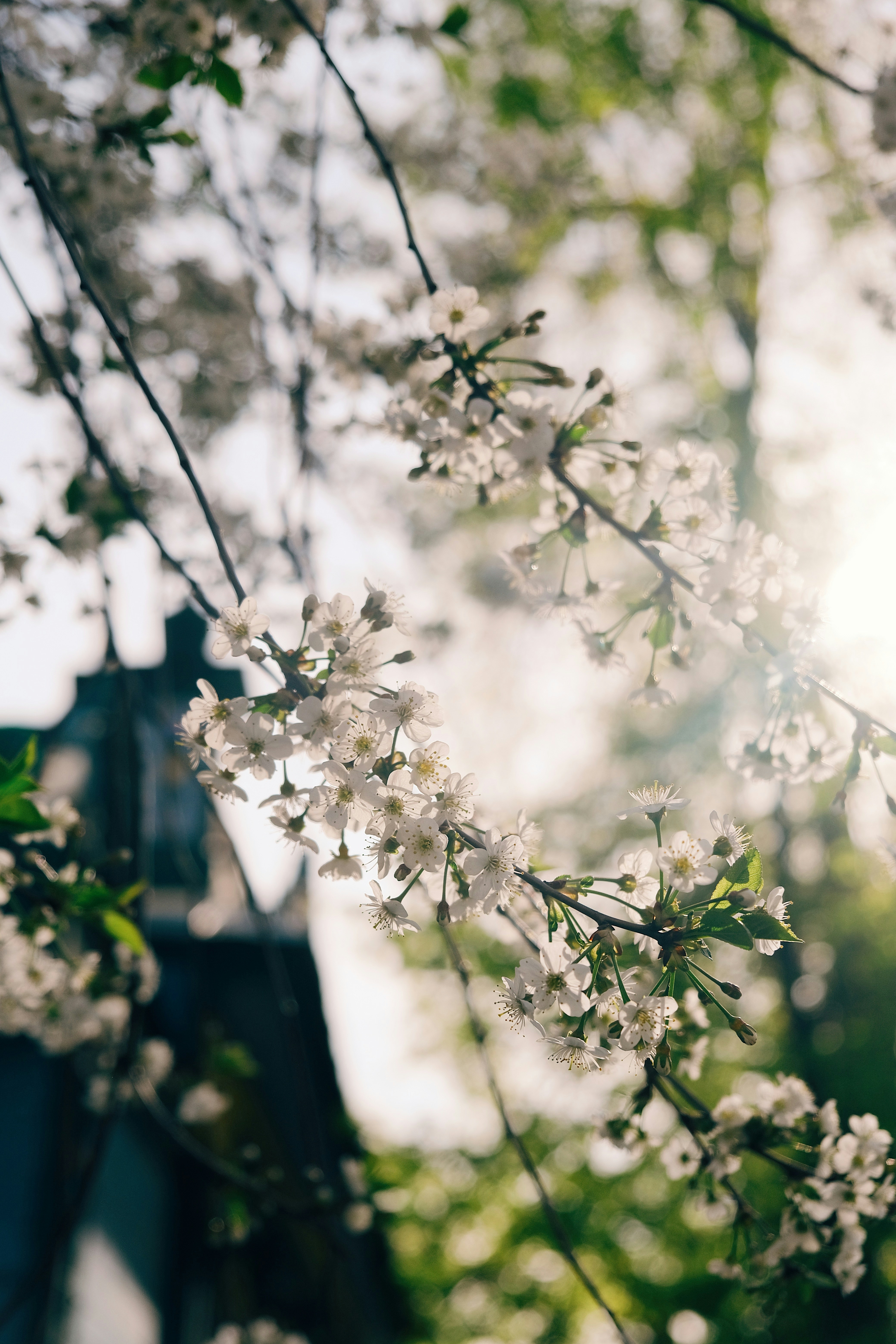 Photo by alex_akimenko