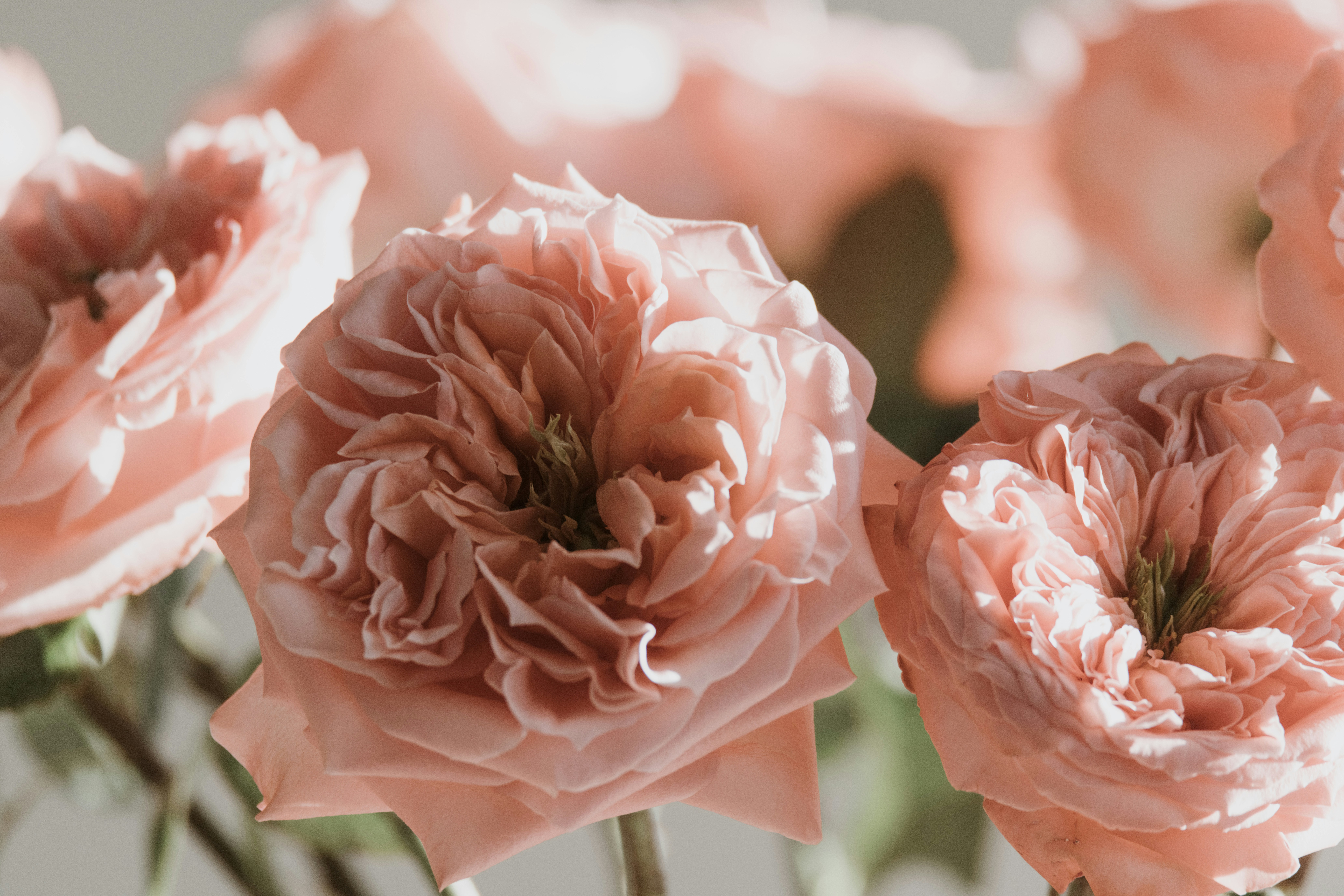 Photo by anitaaustvika