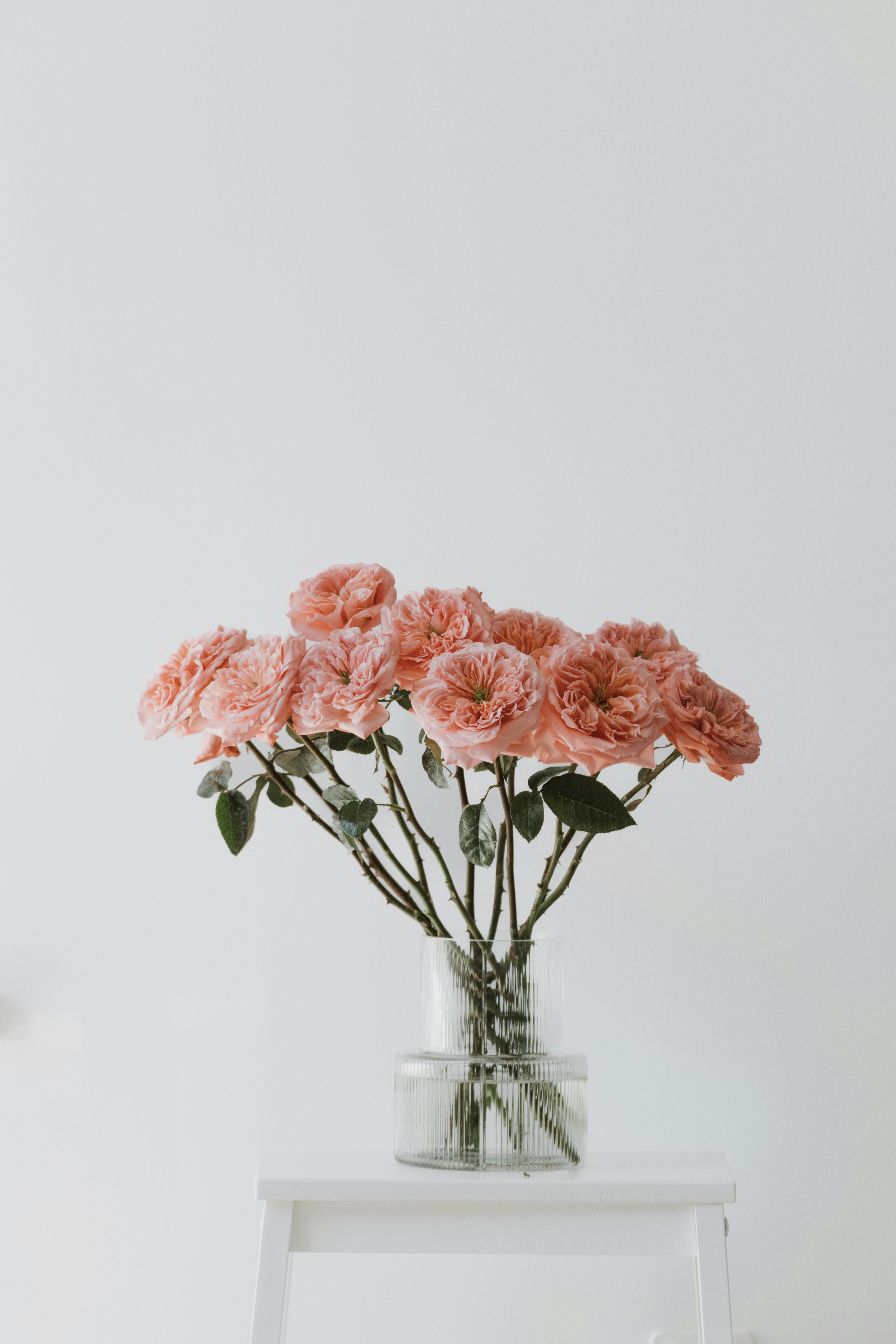 Photo by anitaaustvika