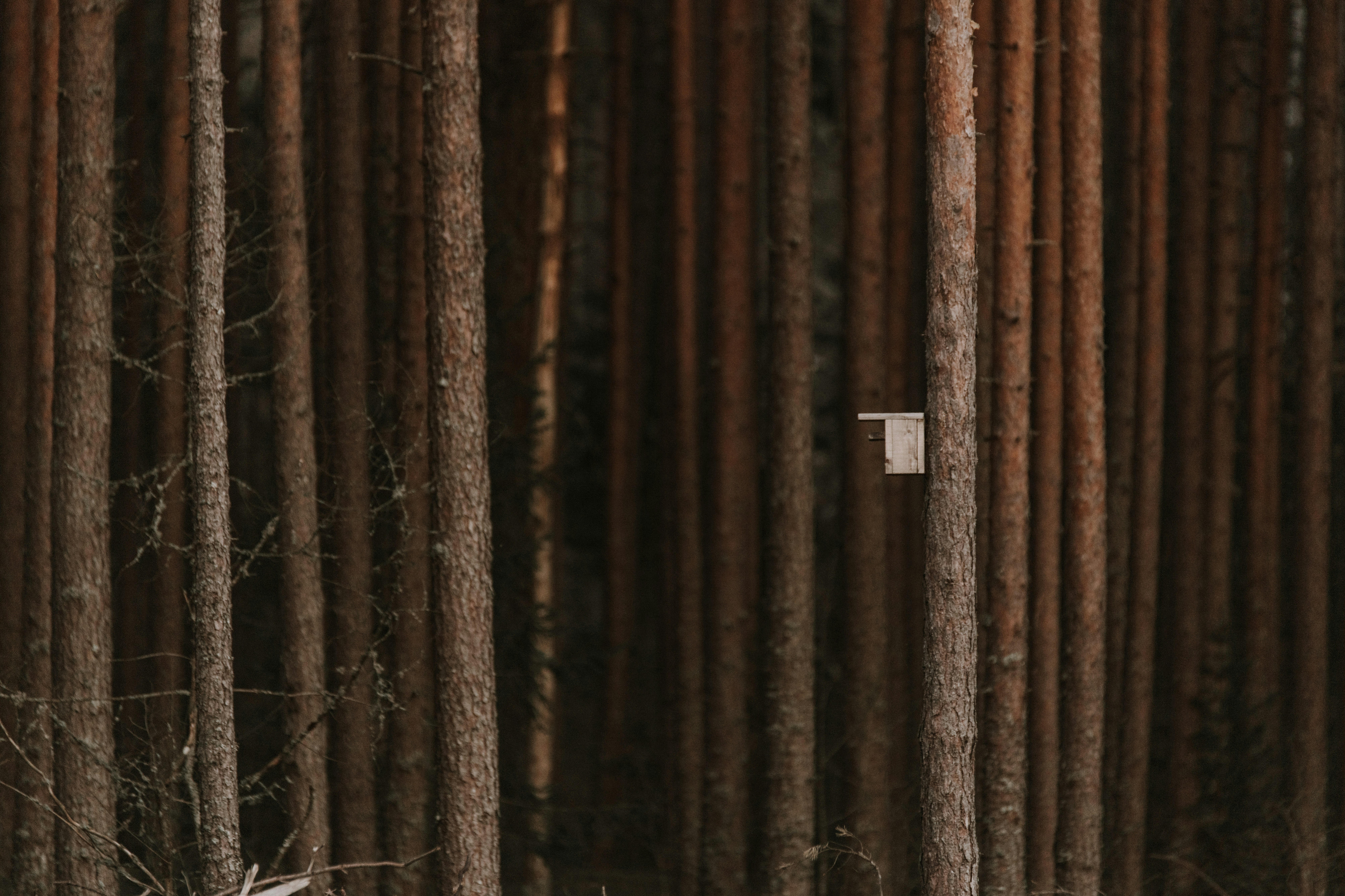 Photo by anitaaustvika