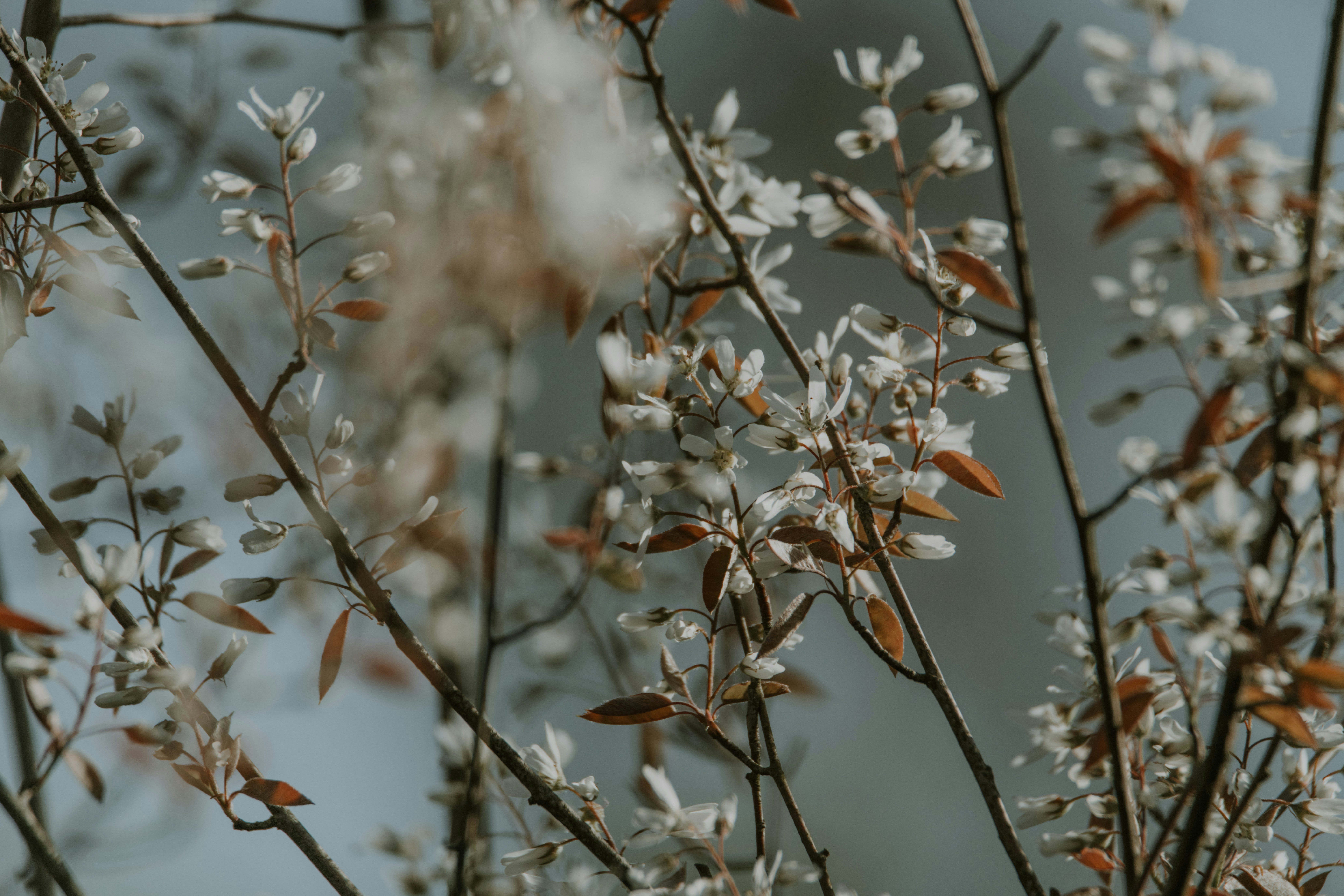 Photo by anitaaustvika