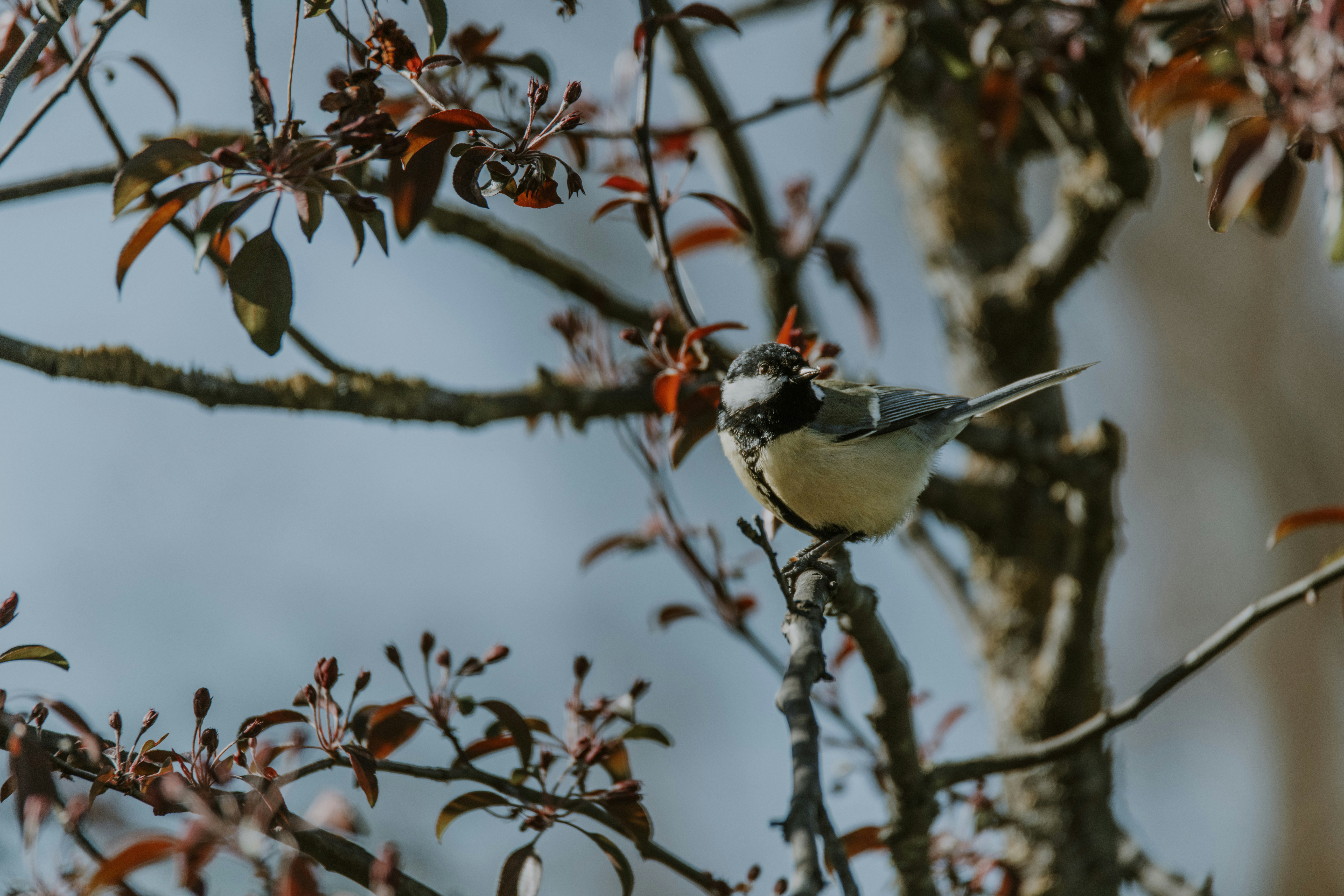 Photo by anitaaustvika