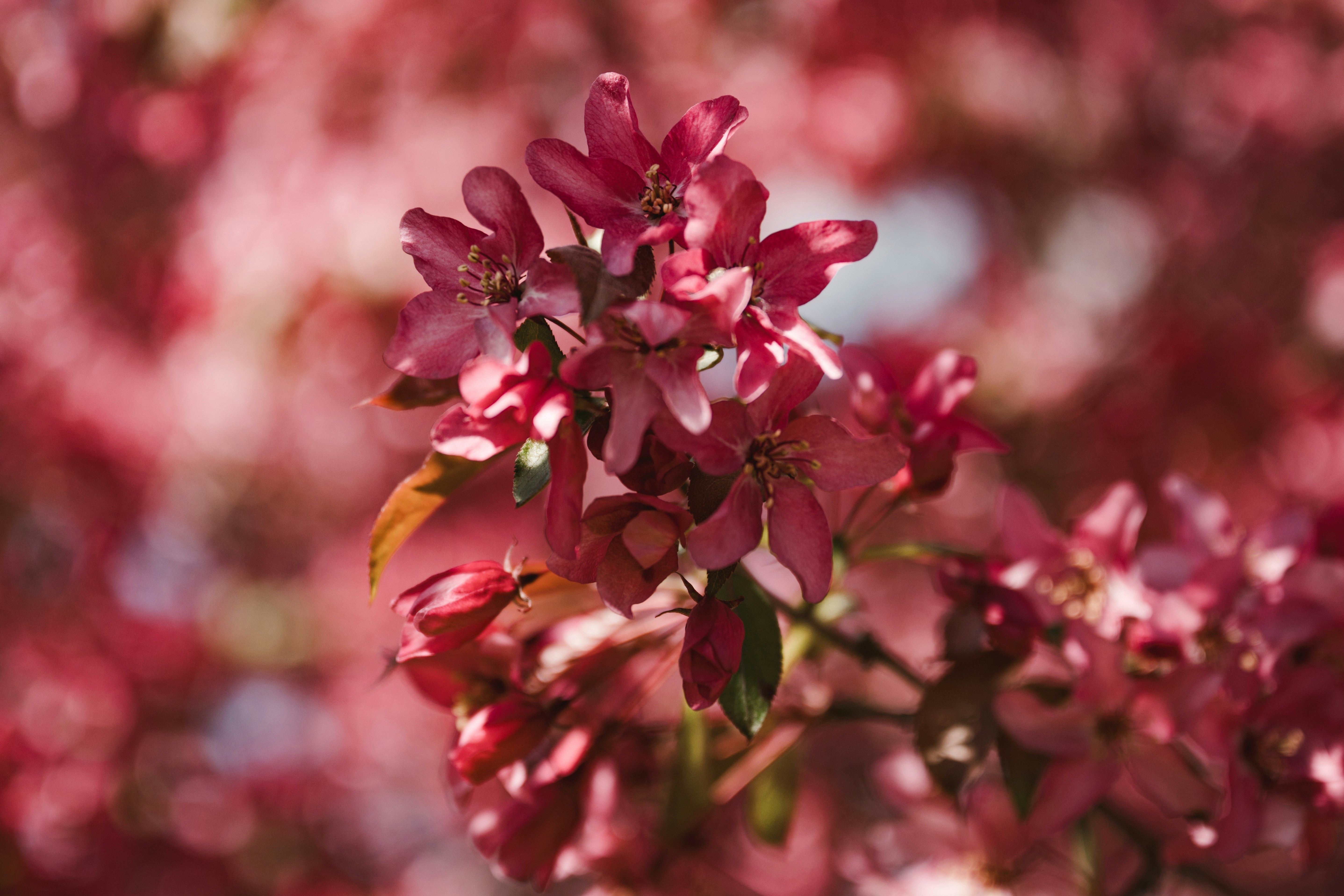 Photo by anitaaustvika