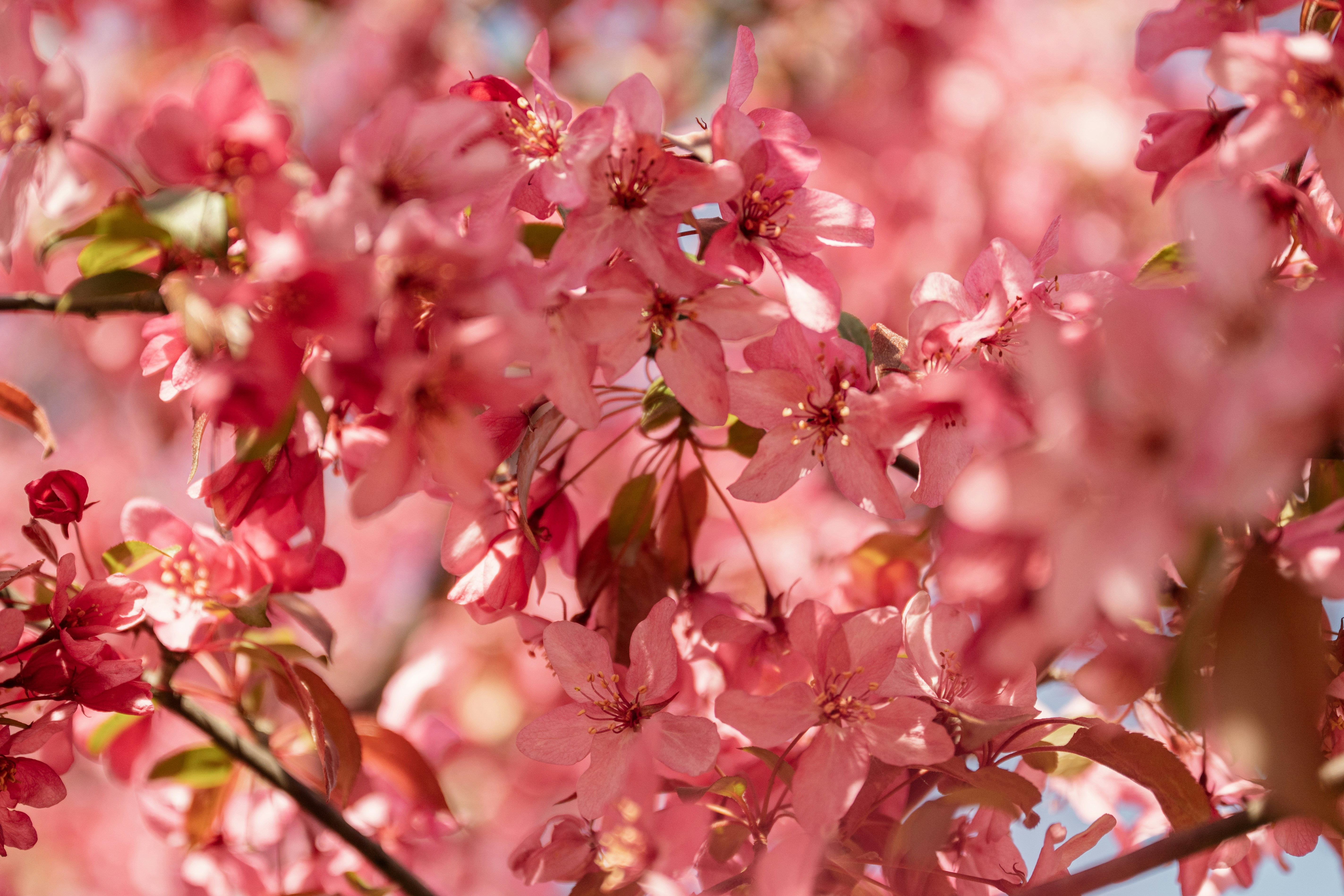 Photo by anitaaustvika