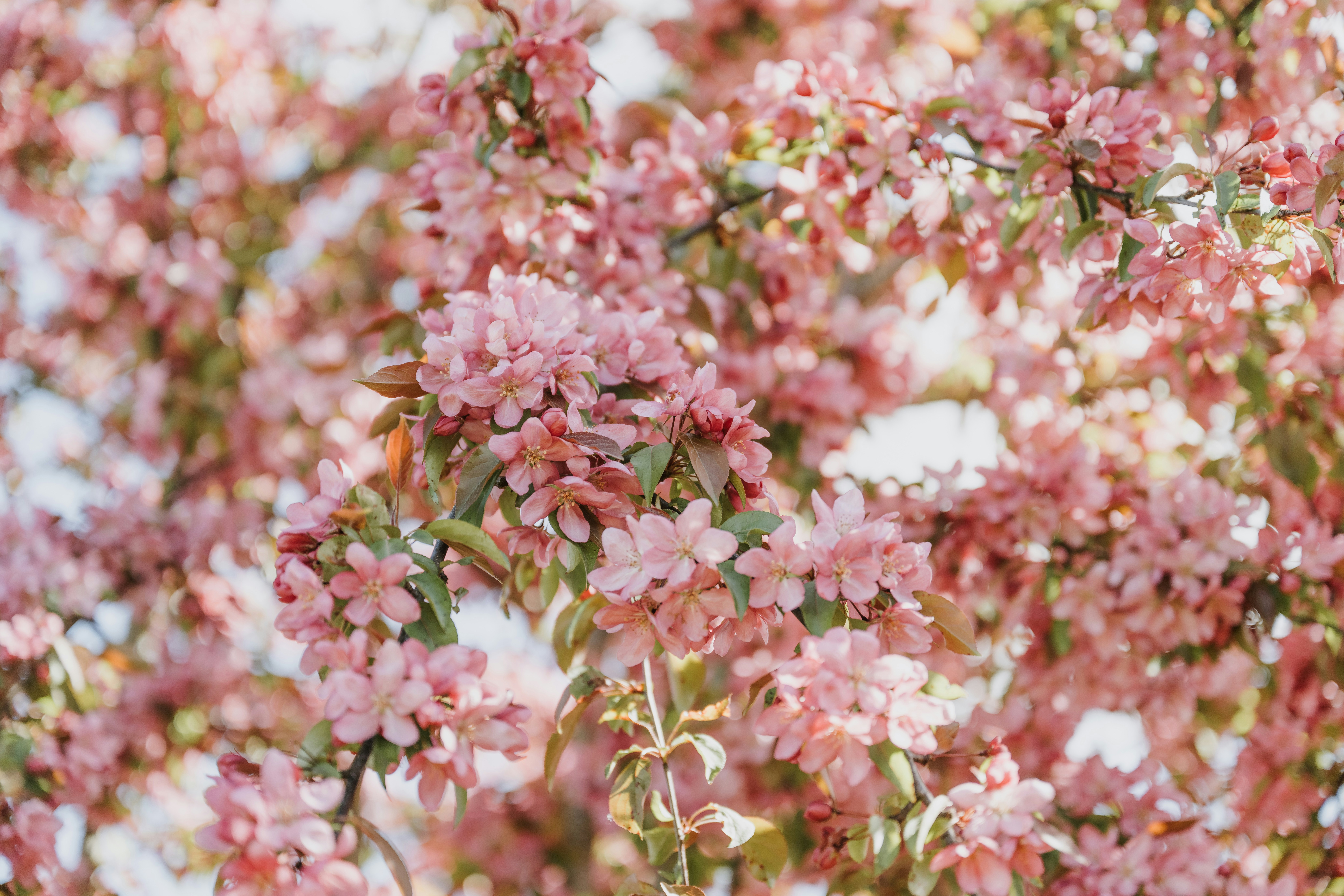 Photo by anitaaustvika