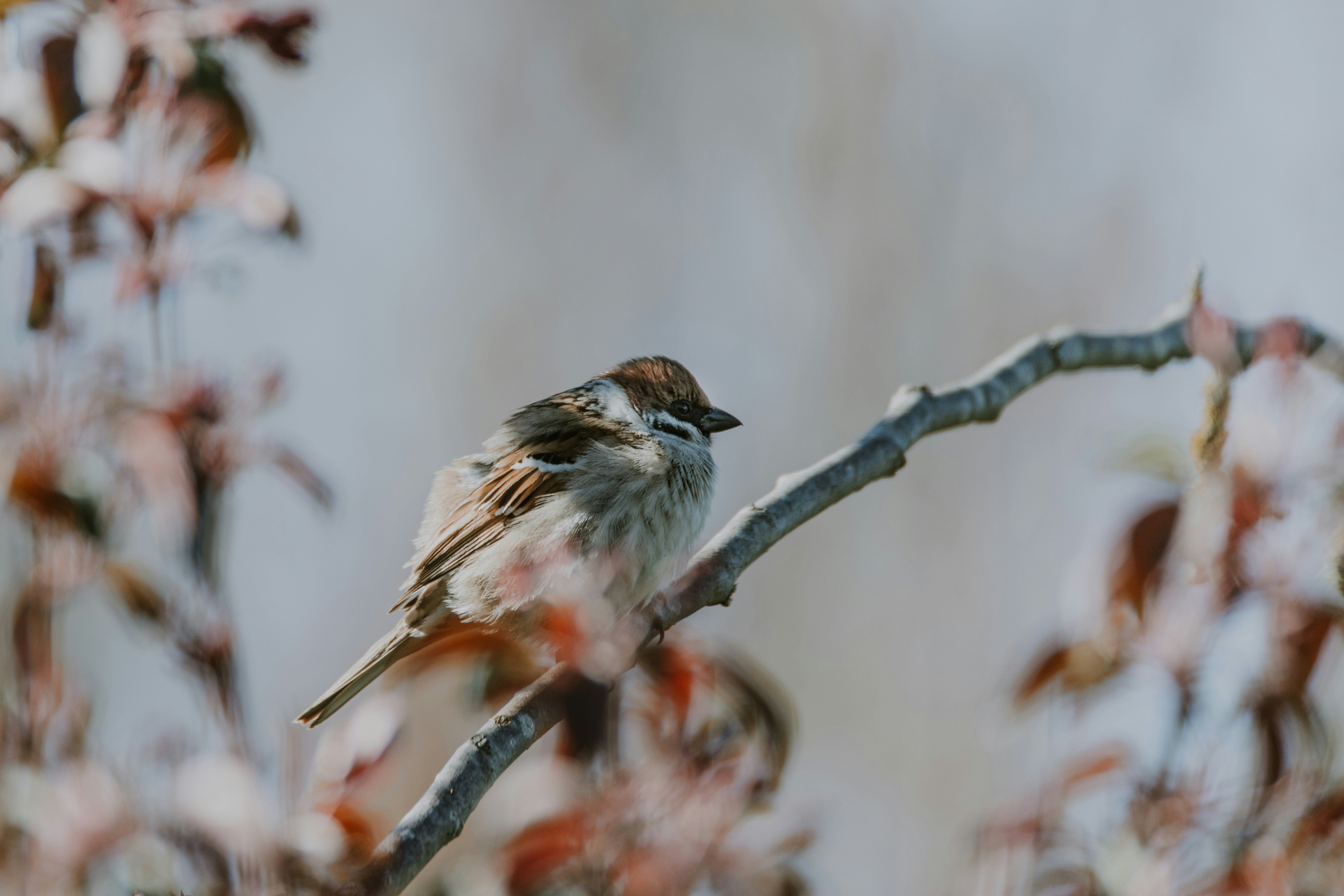 Photo by anitaaustvika