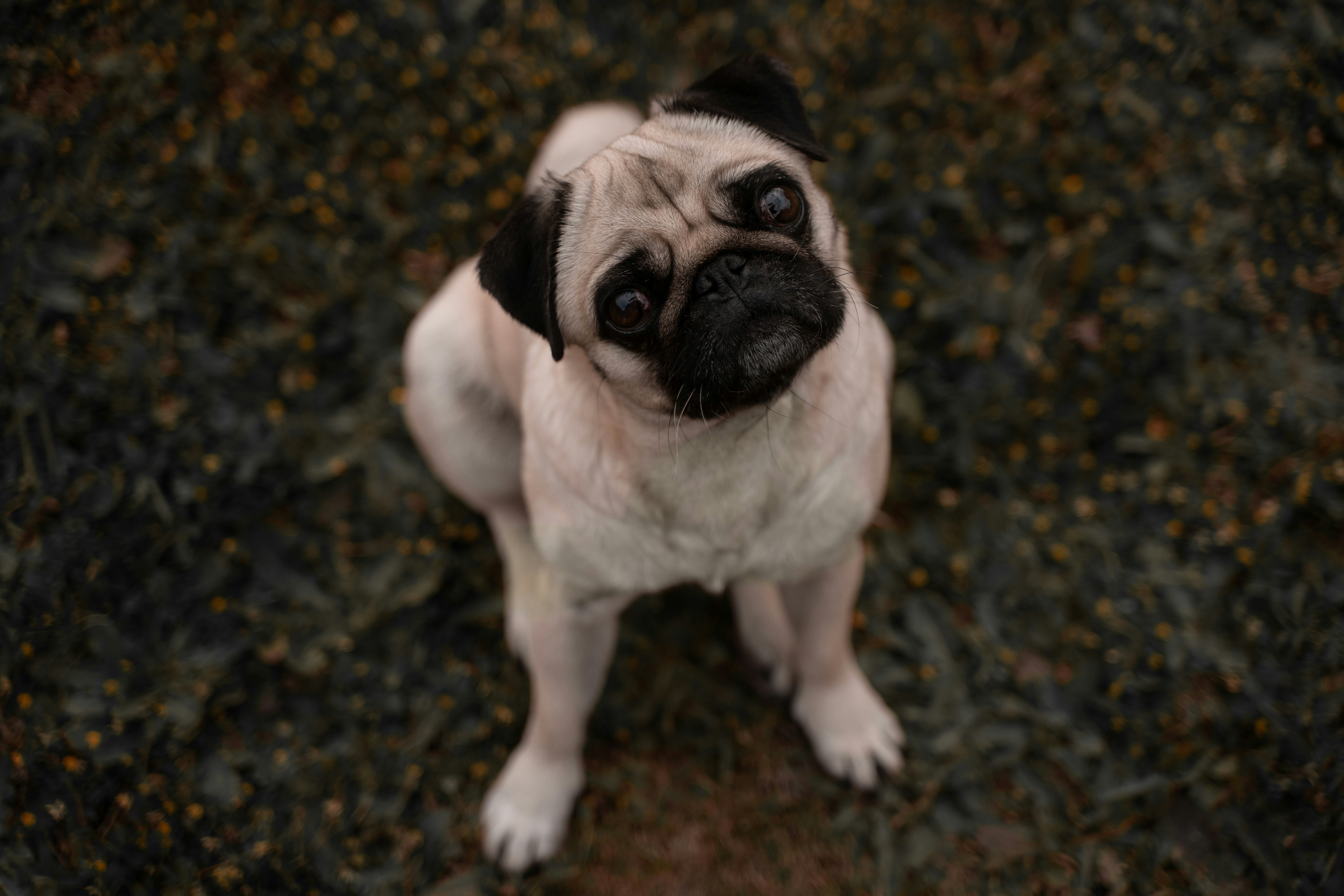 Photo by jakubklucky