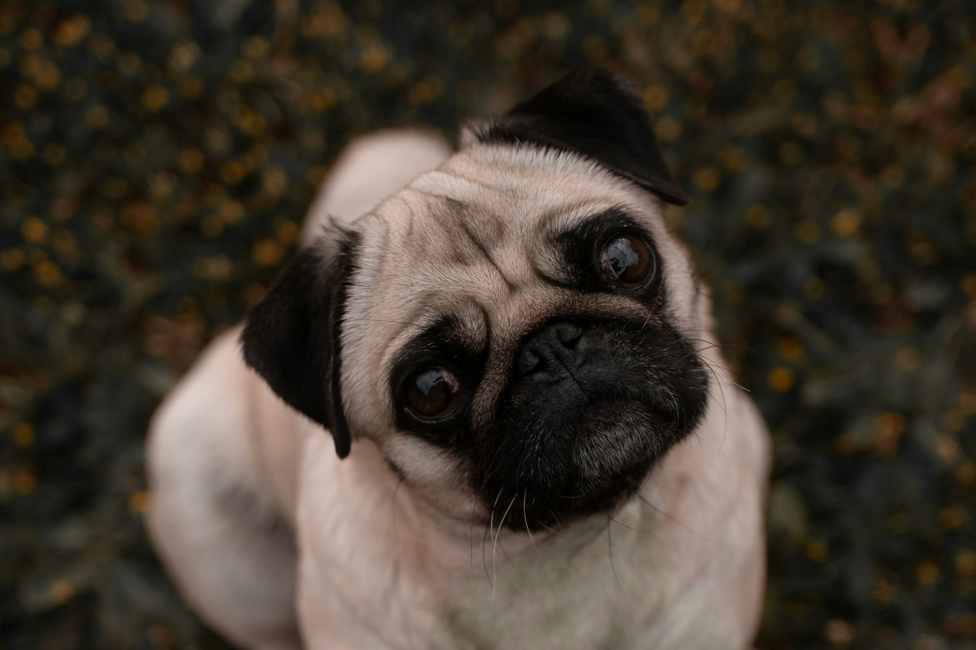 Photo by jakubklucky