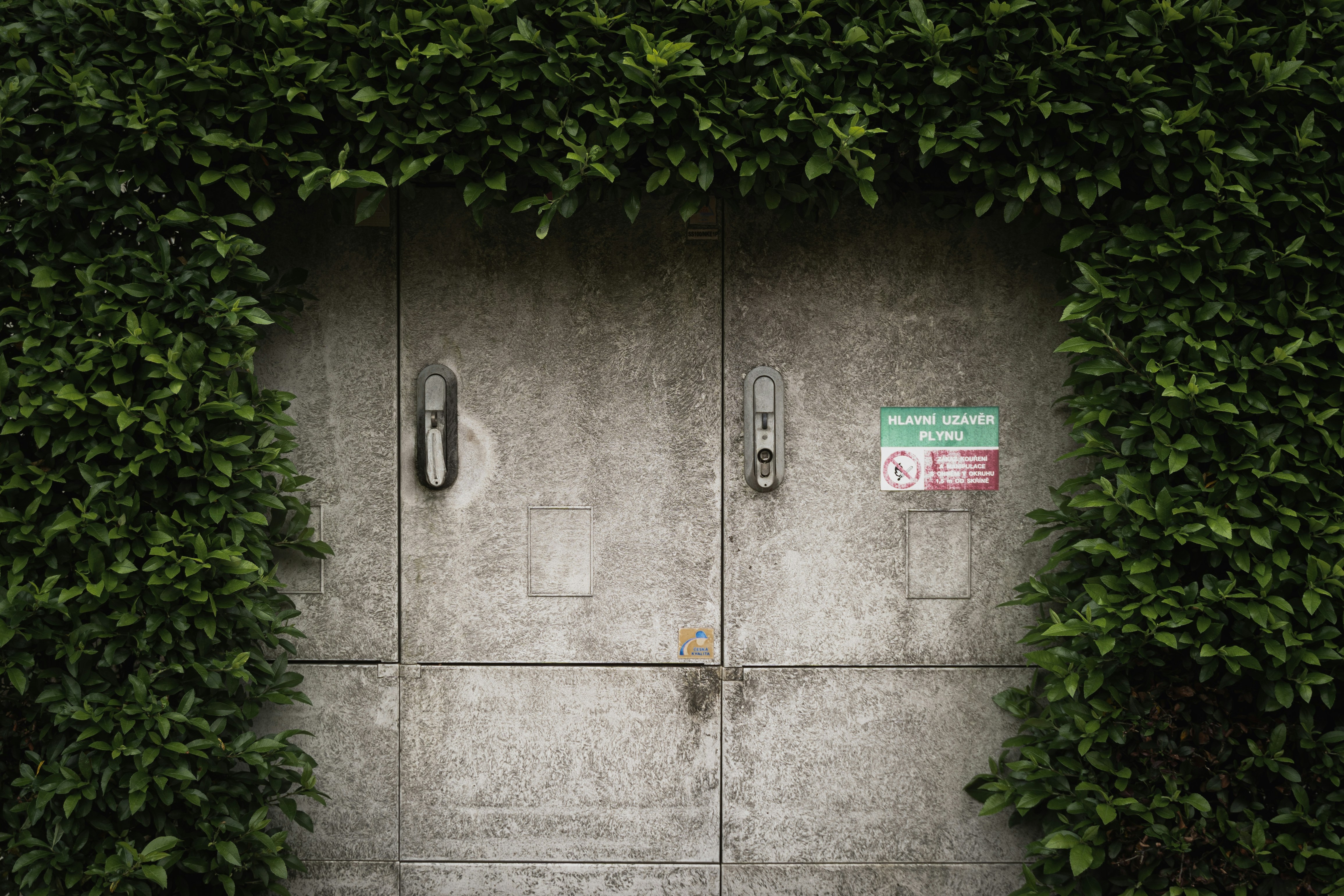 Photo by jakubklucky