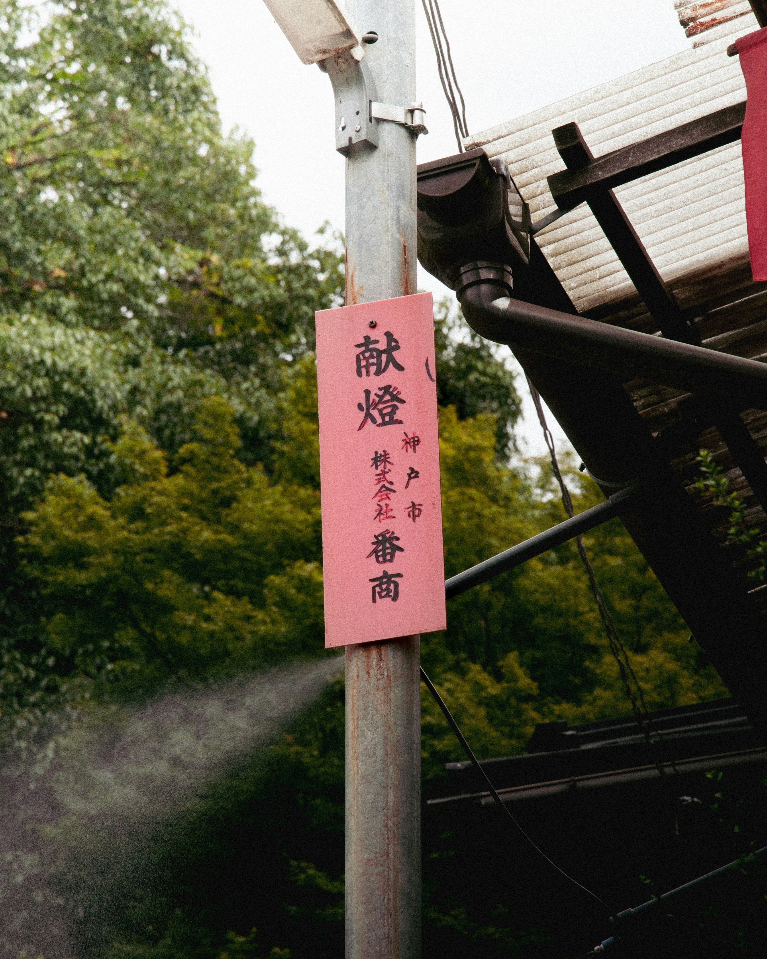 Photo by niven_kadric