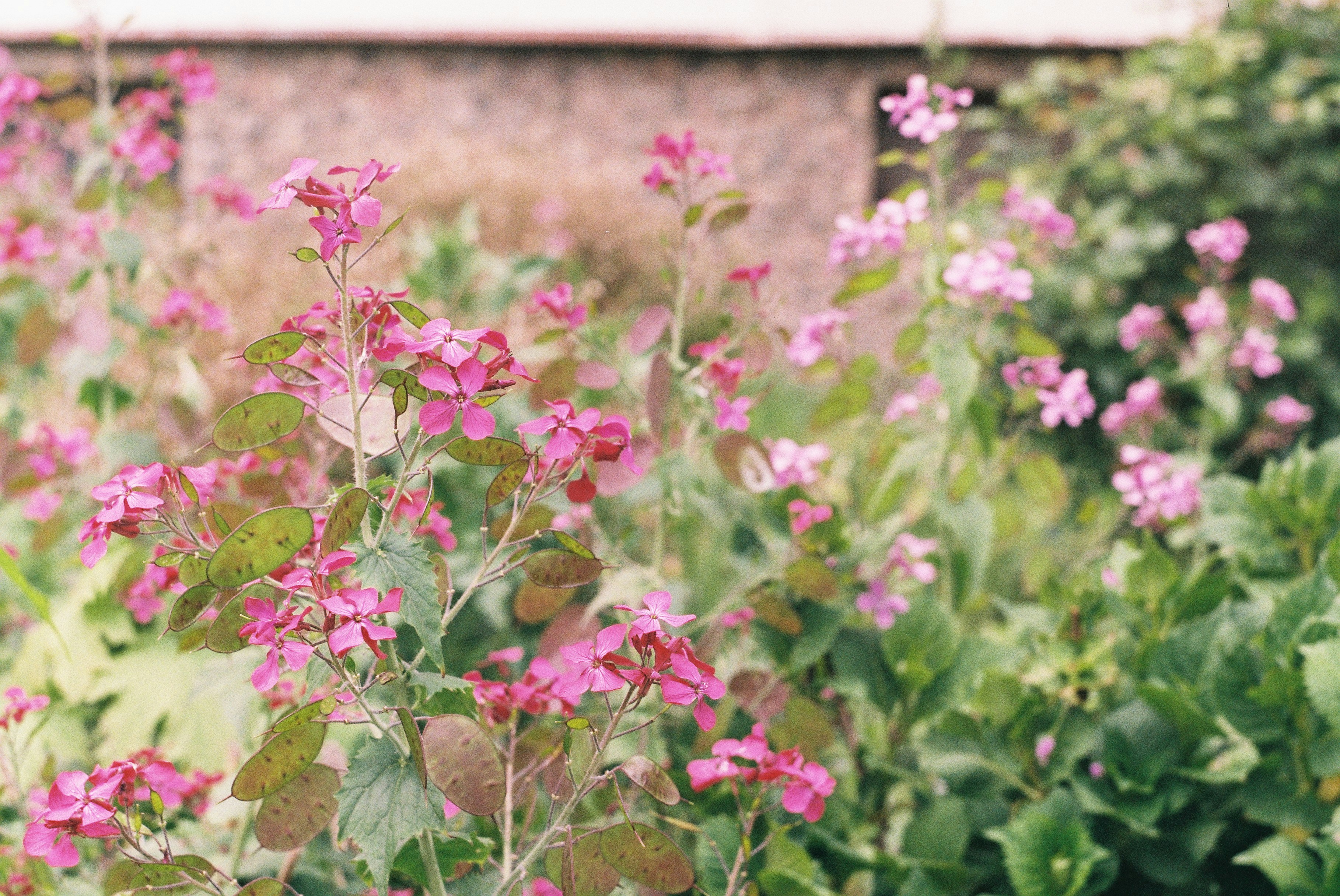 Photo by palebluebricks