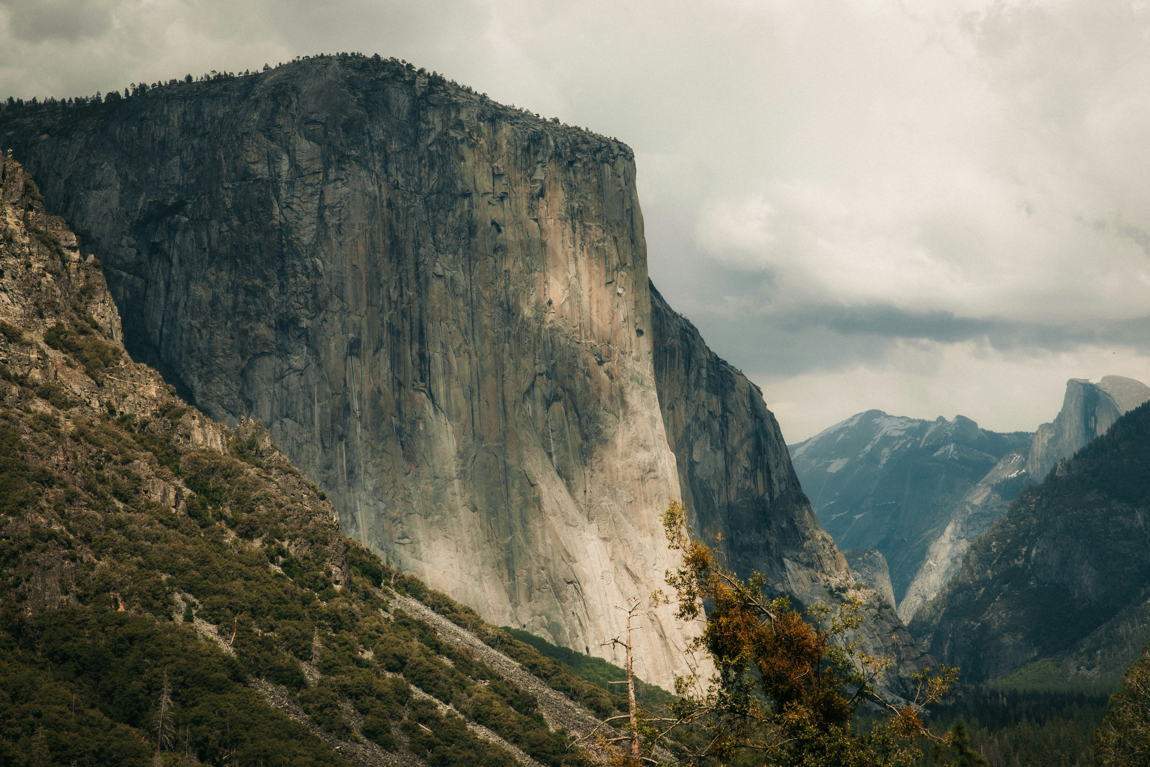 Photo by itskinderella