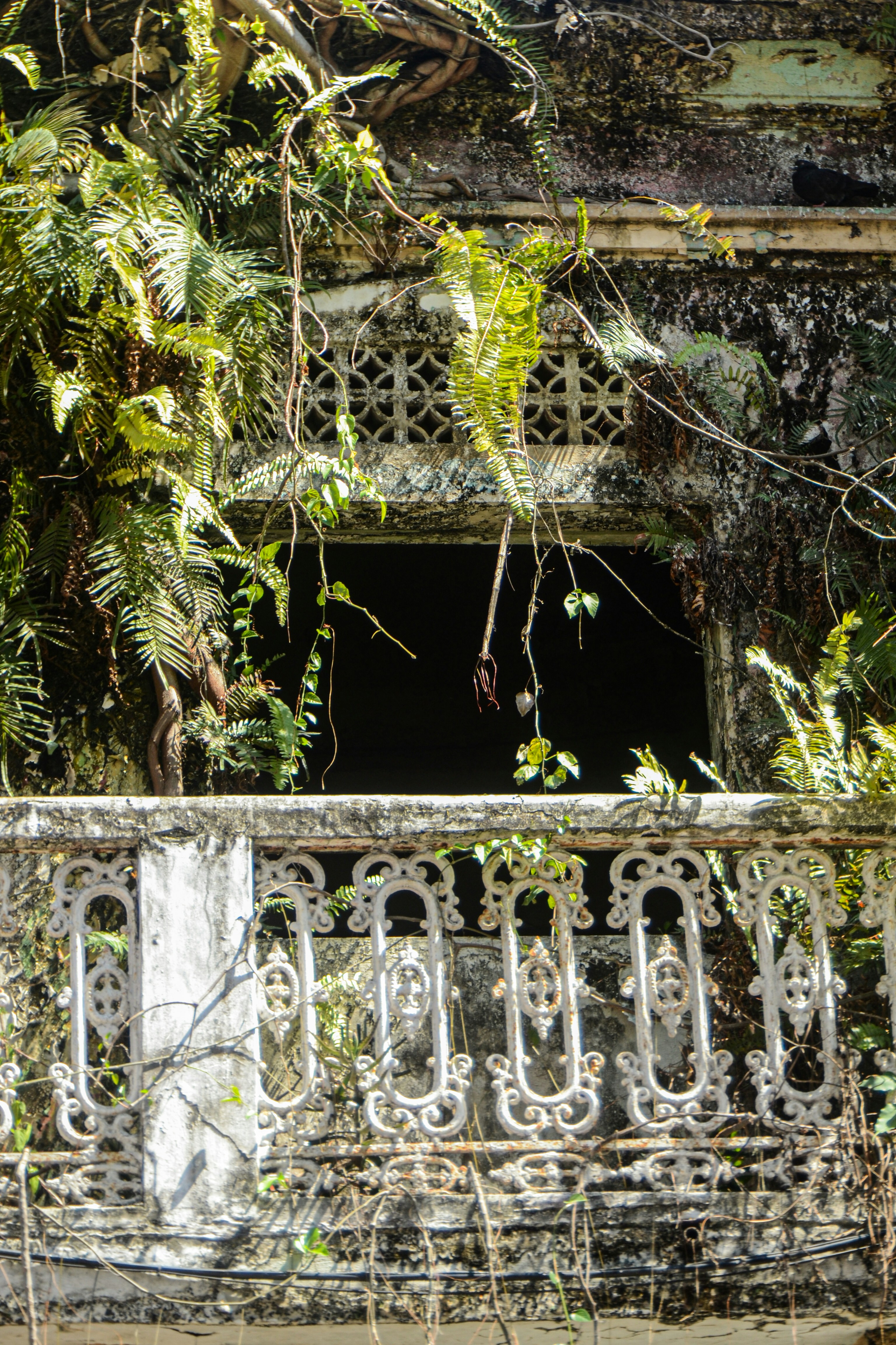 Photo by agustin_pimentel