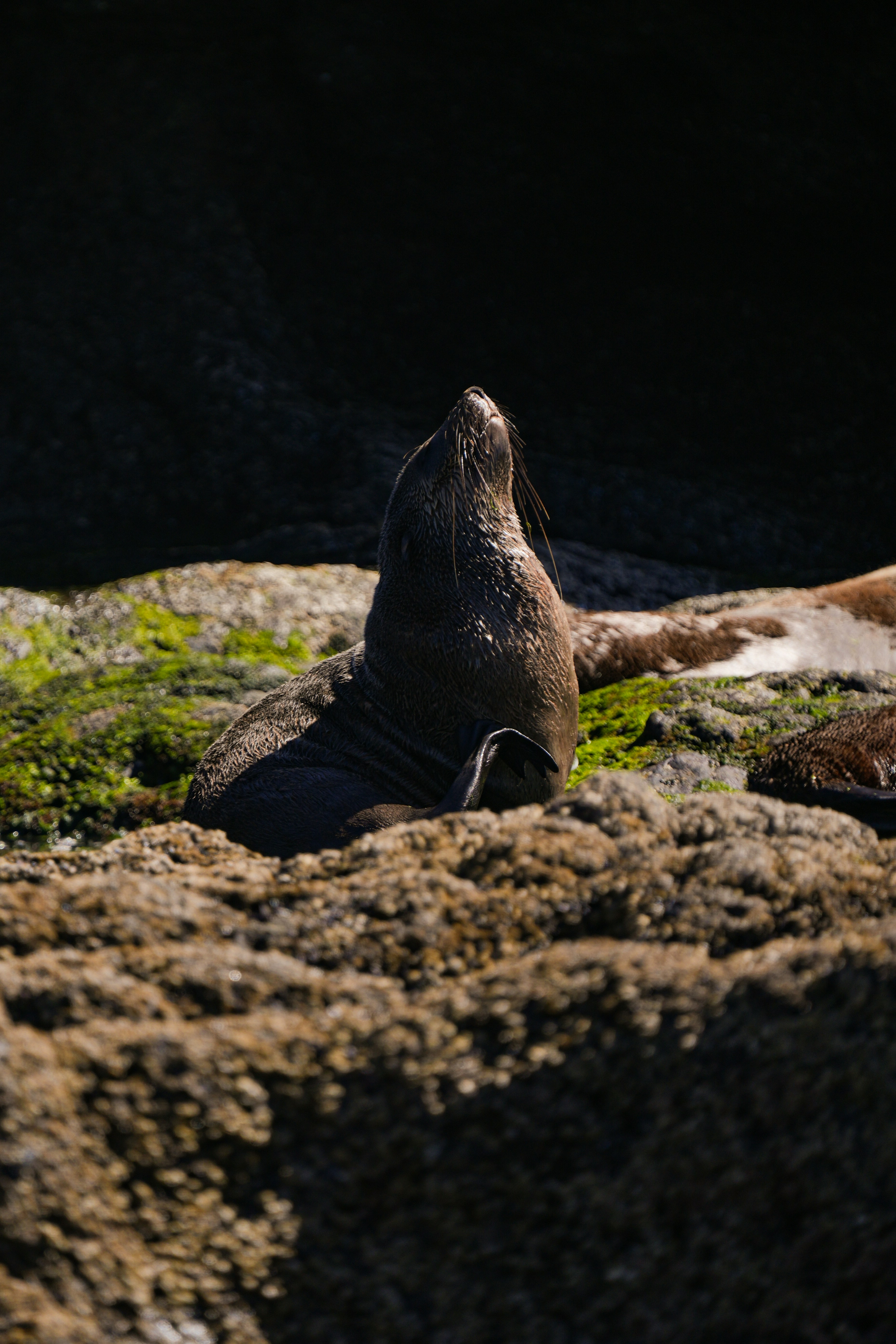 Photo by paulkrueger