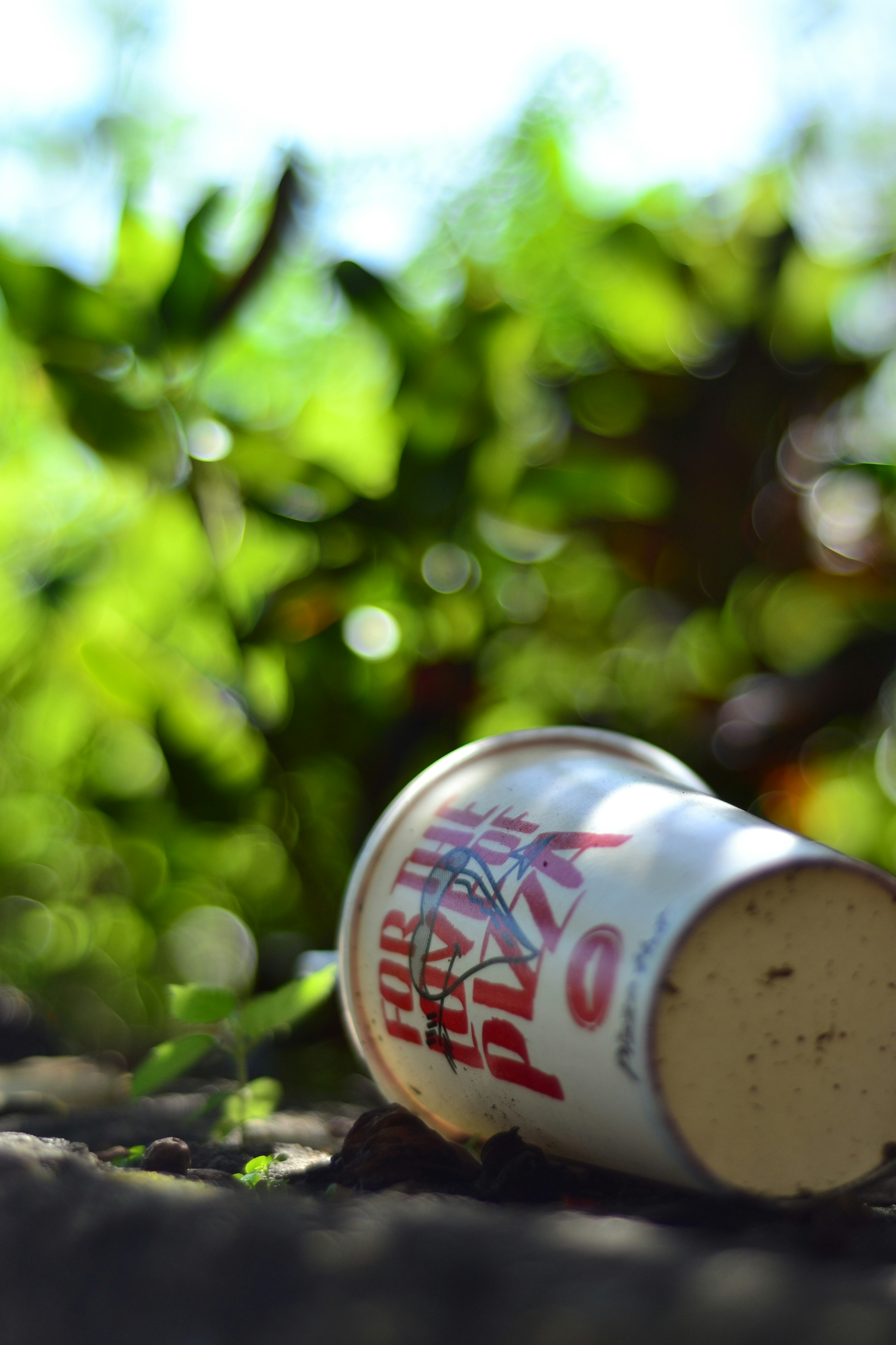 Photo by agustin_pimentel