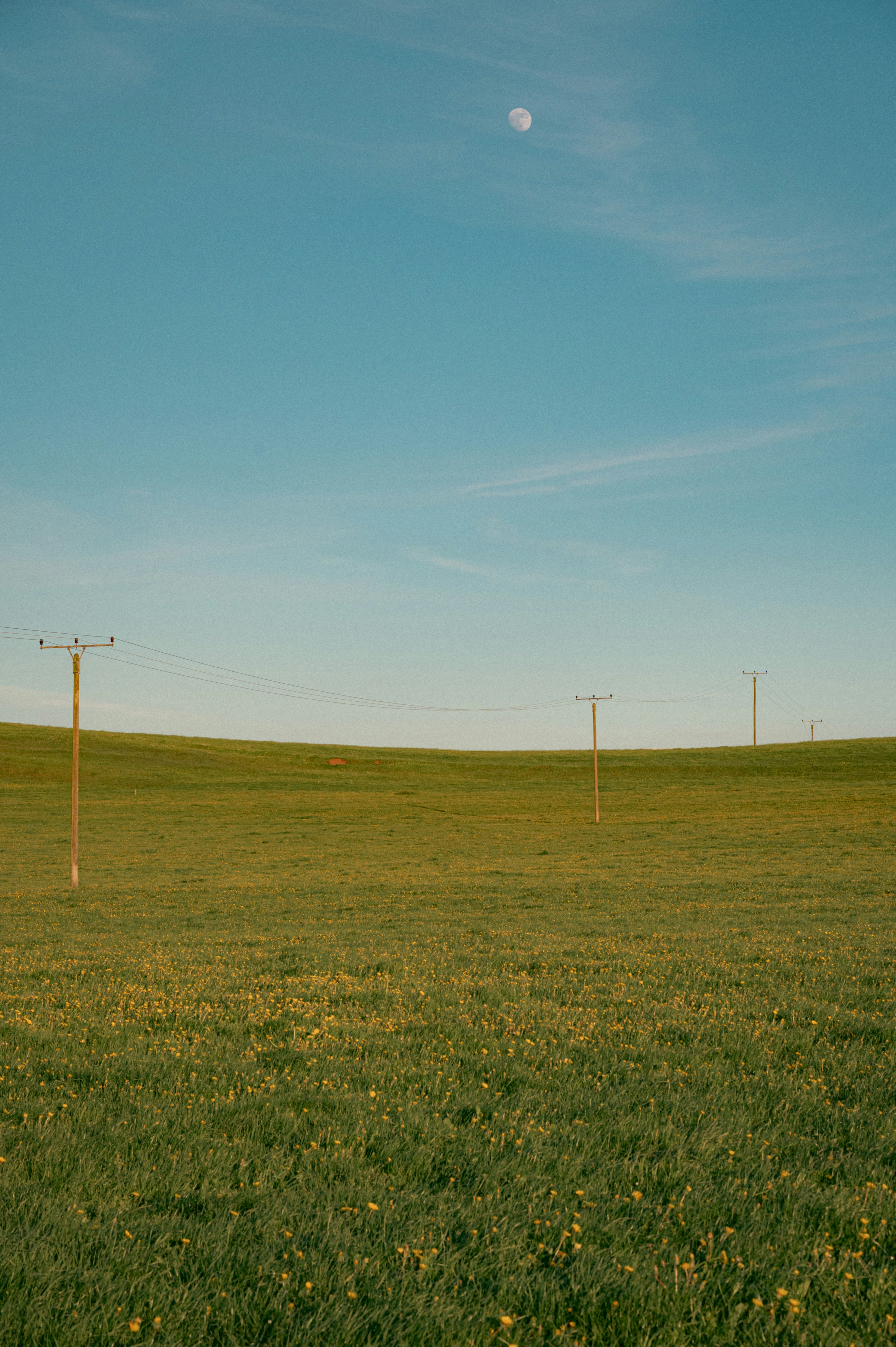 Photo by luca_severin