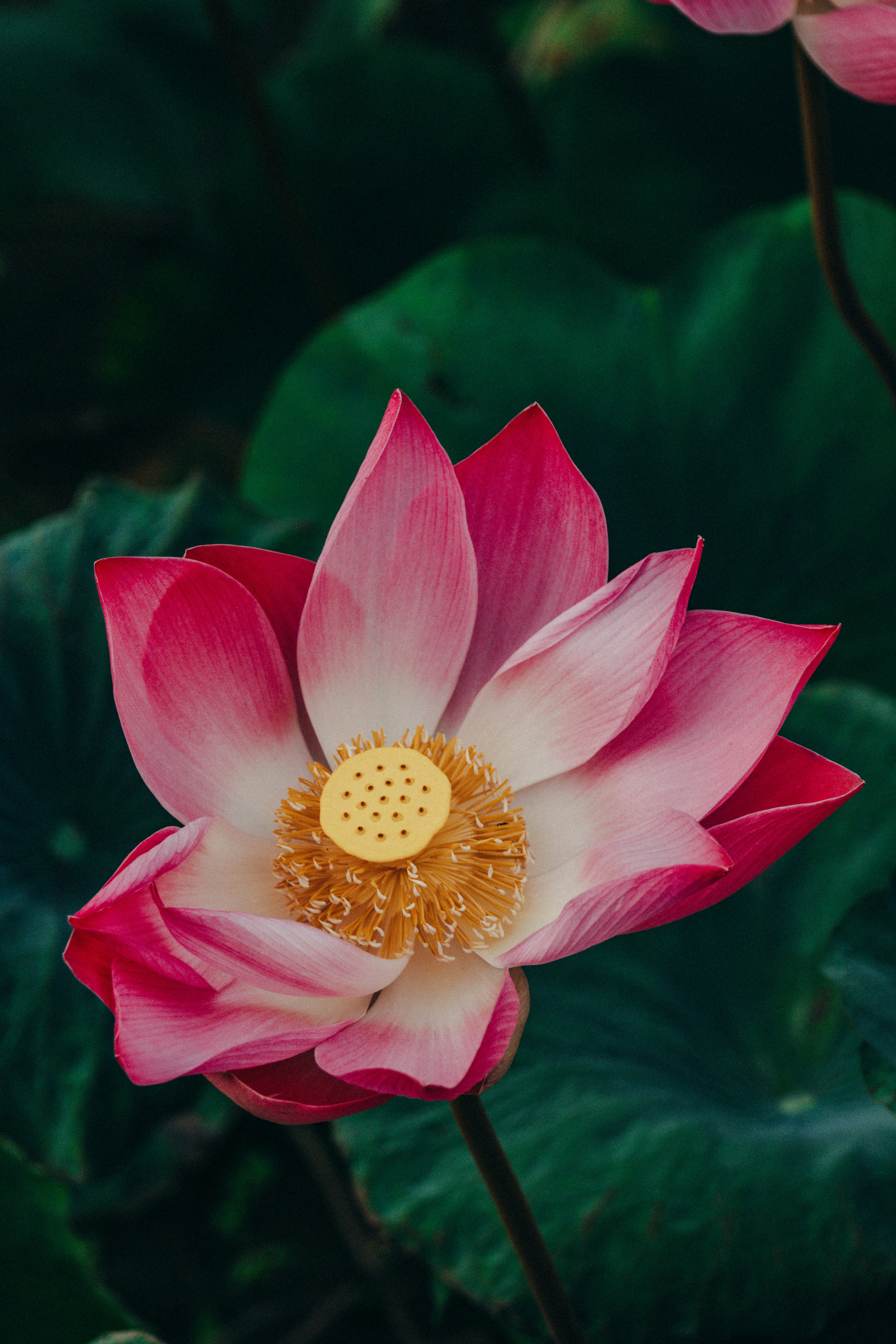 Photo by helloemilia