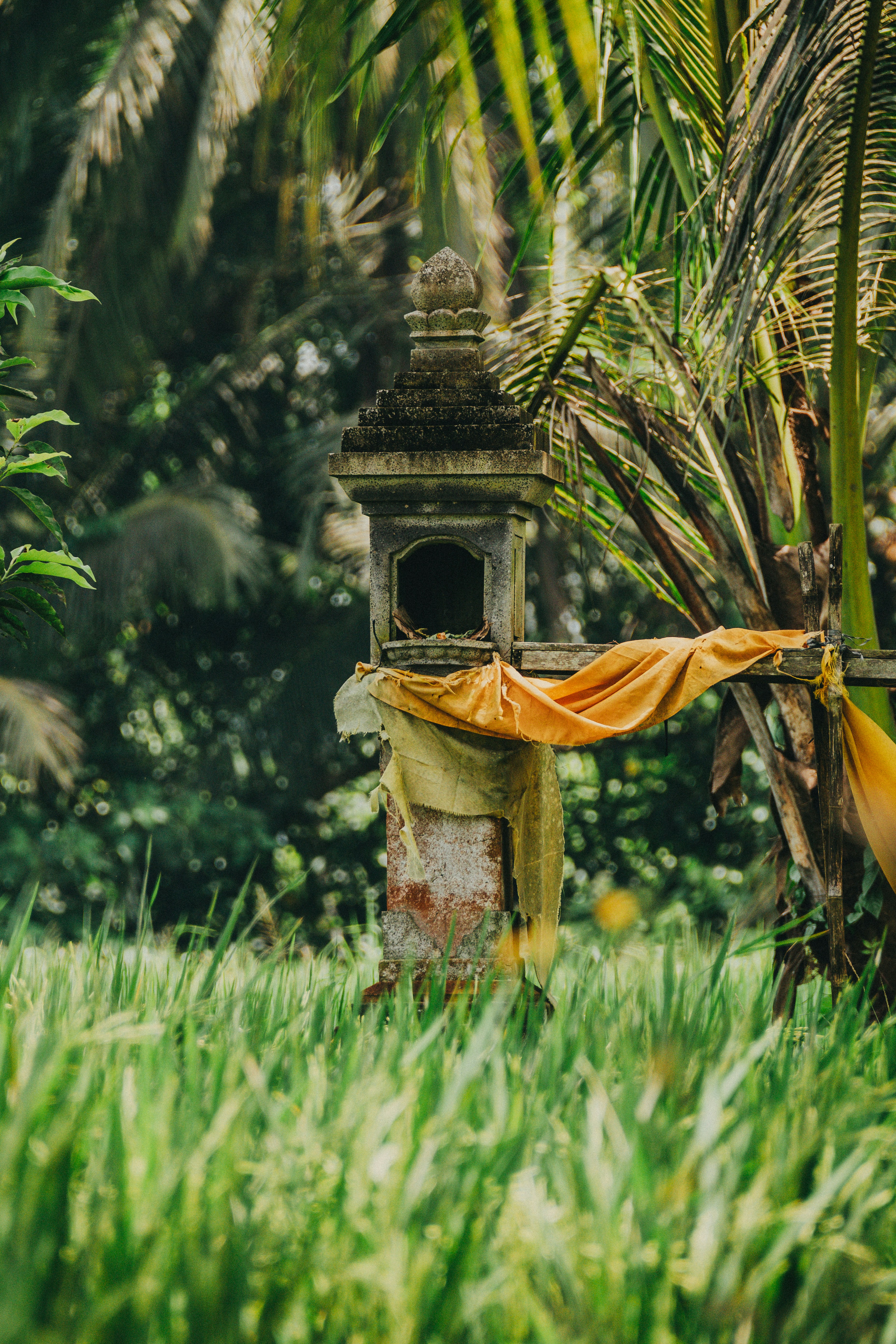 A stone shrine stands amongst lush greenery.