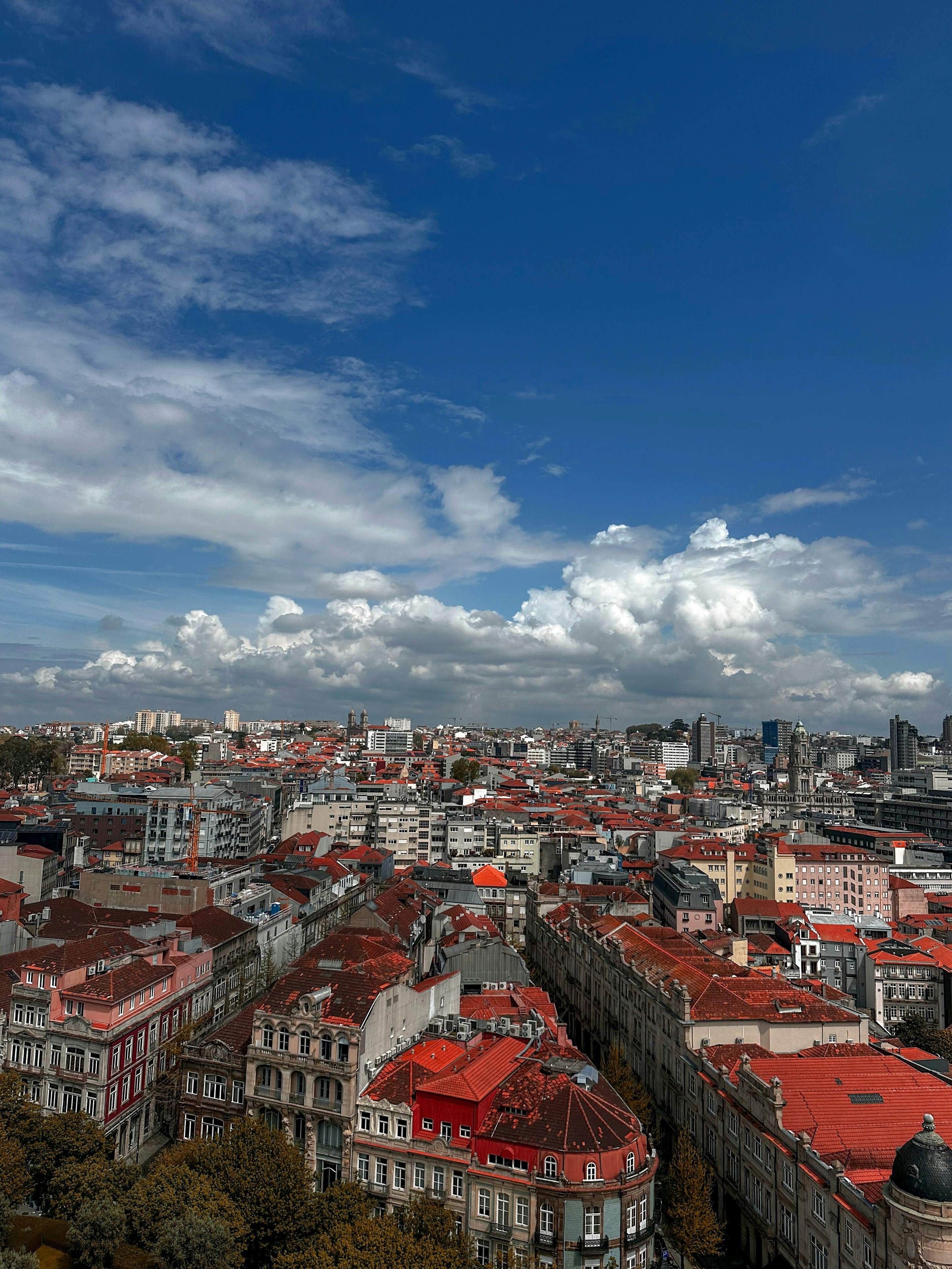 Photo by juliakuzmenko