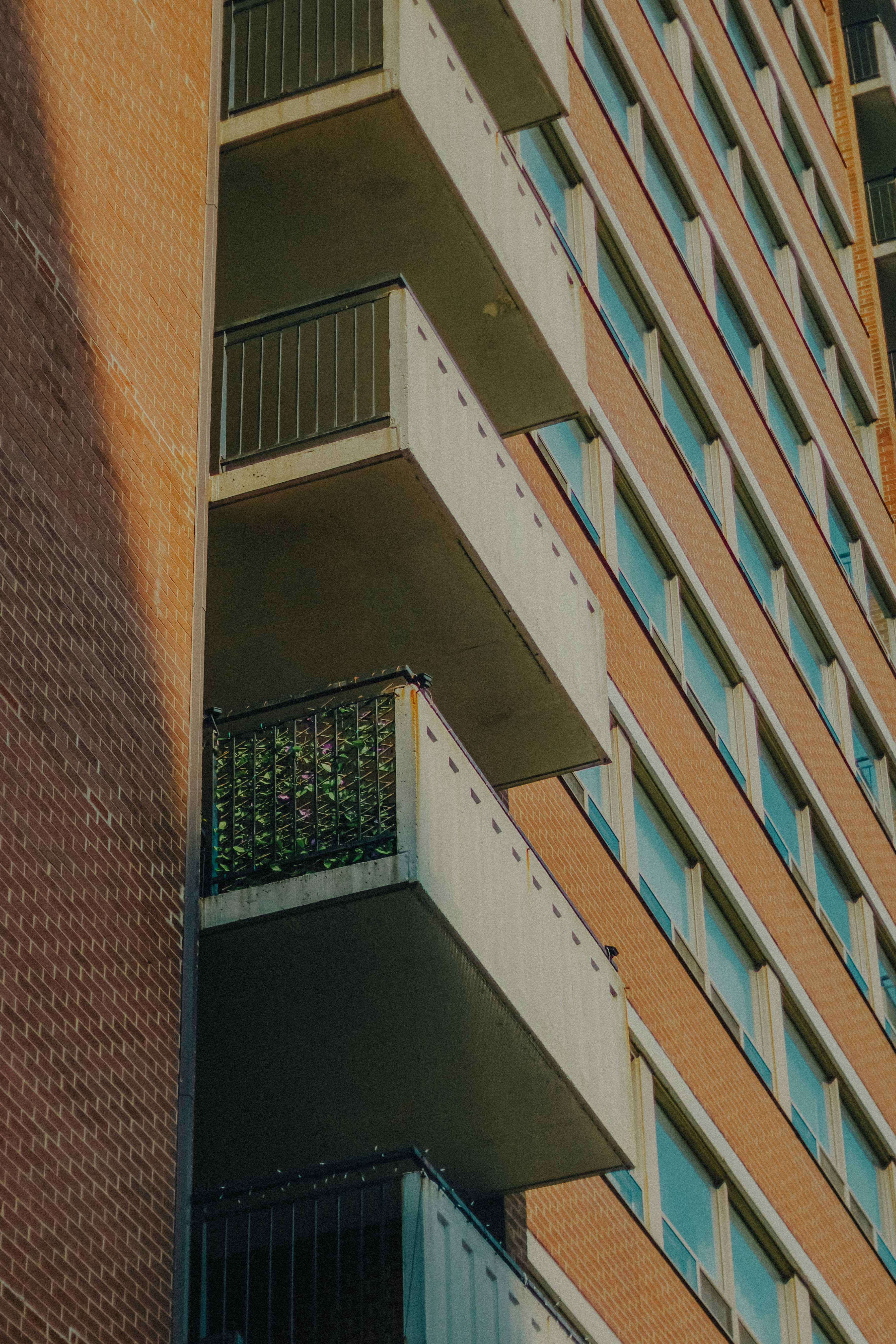 Photo by linusbelanger