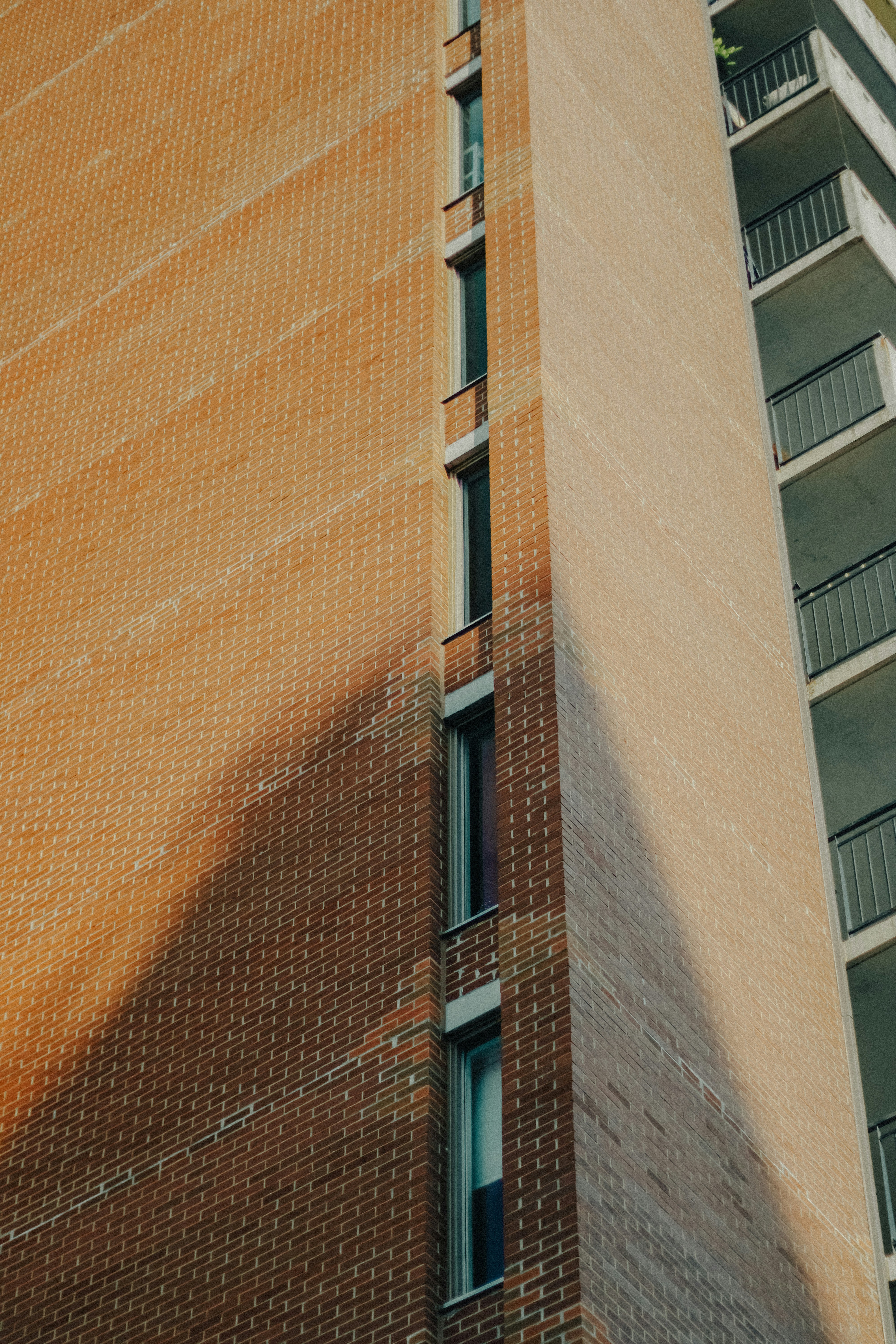 Photo by linusbelanger