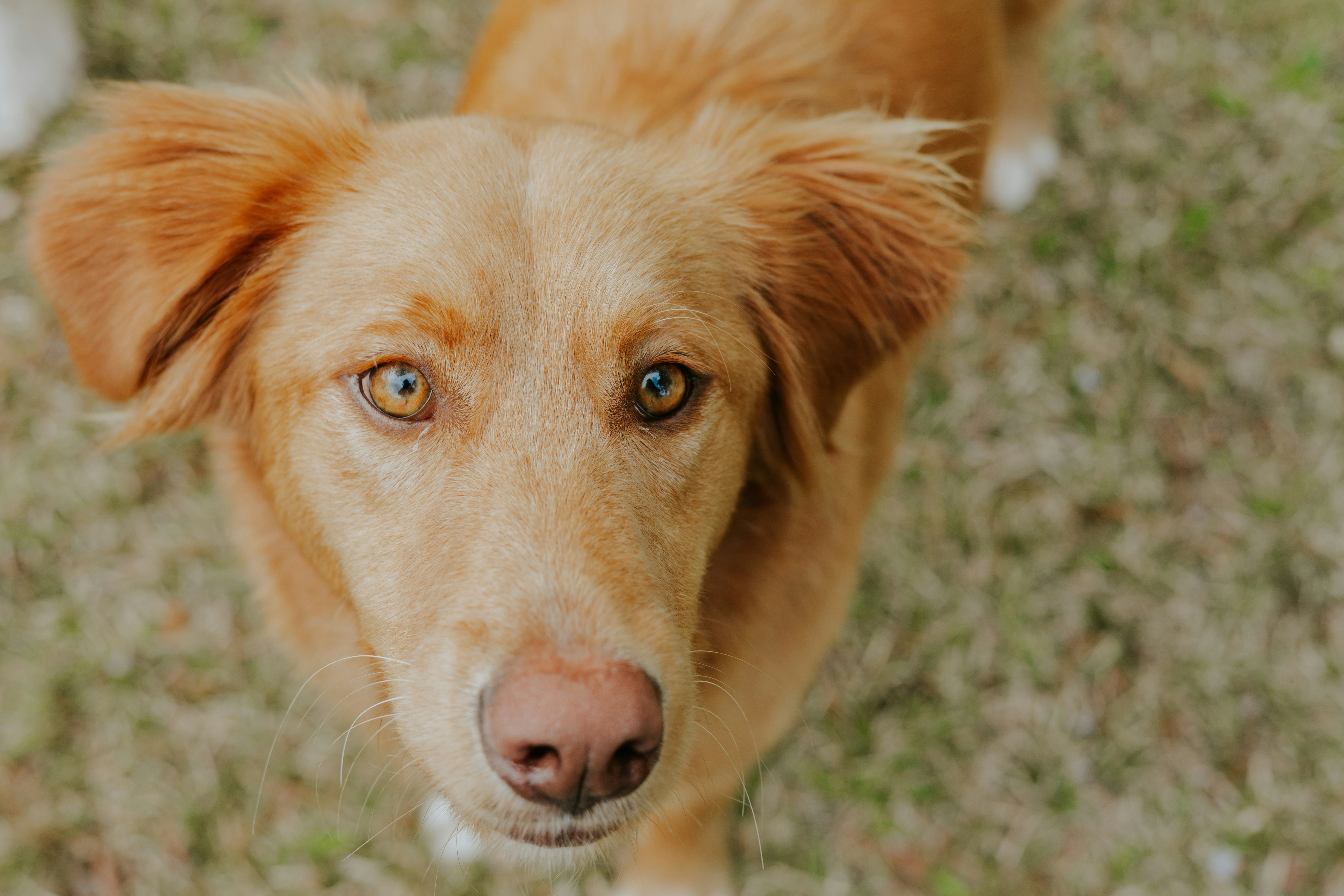 Photo by kizzieklaire