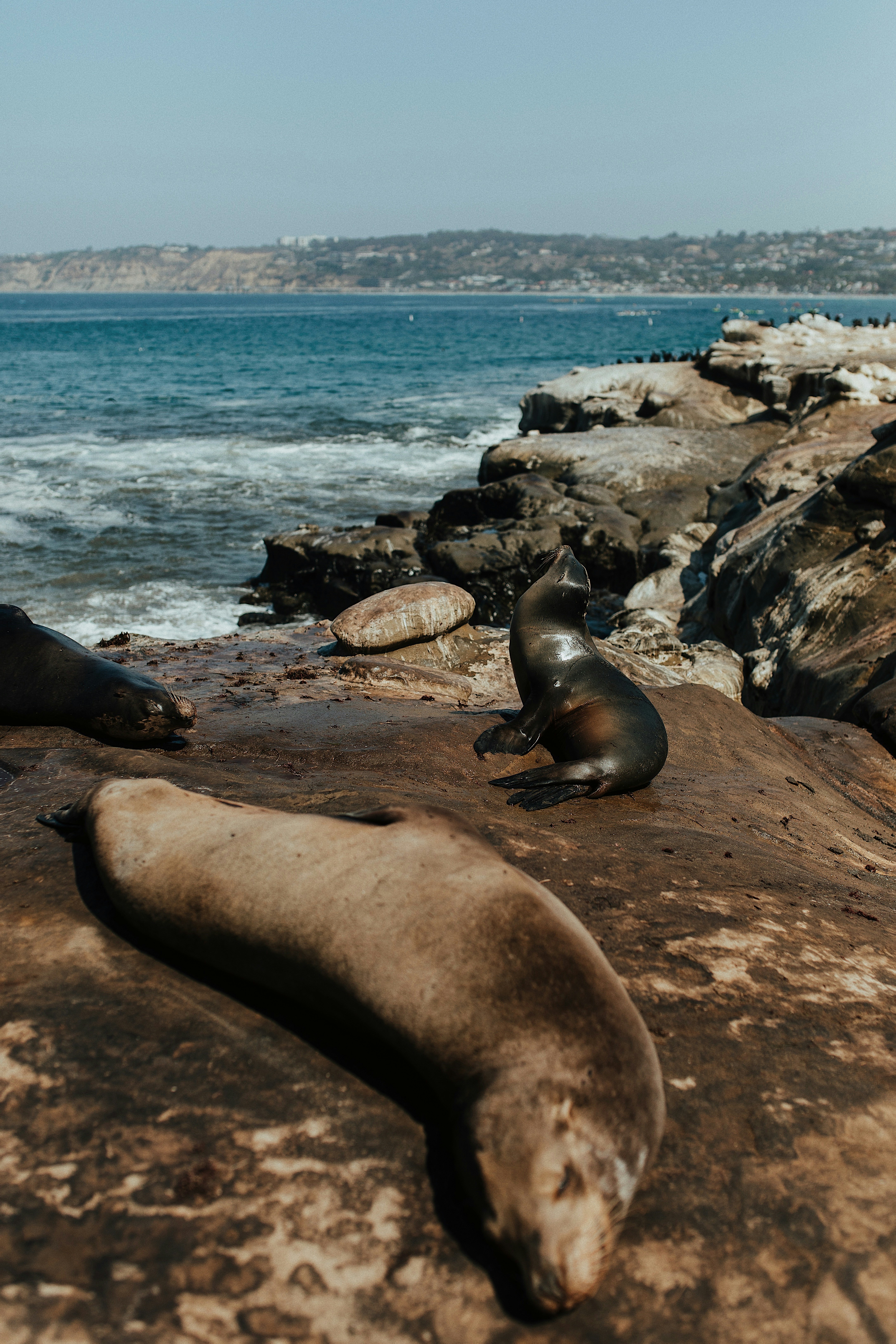 Photo by kizzieklaire