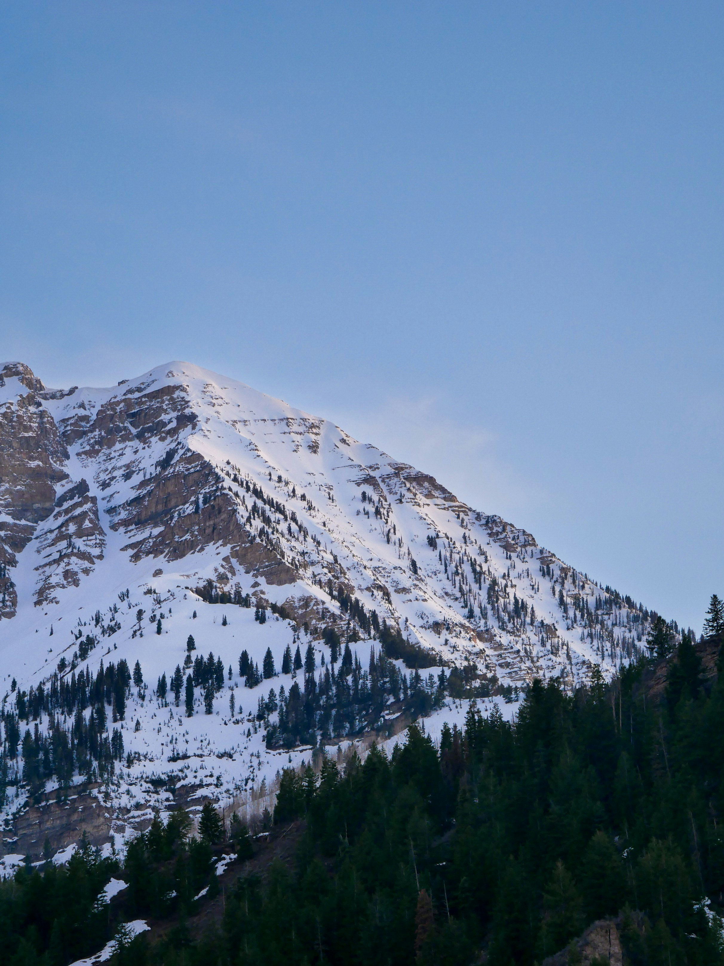 Photo by sophiadidonato