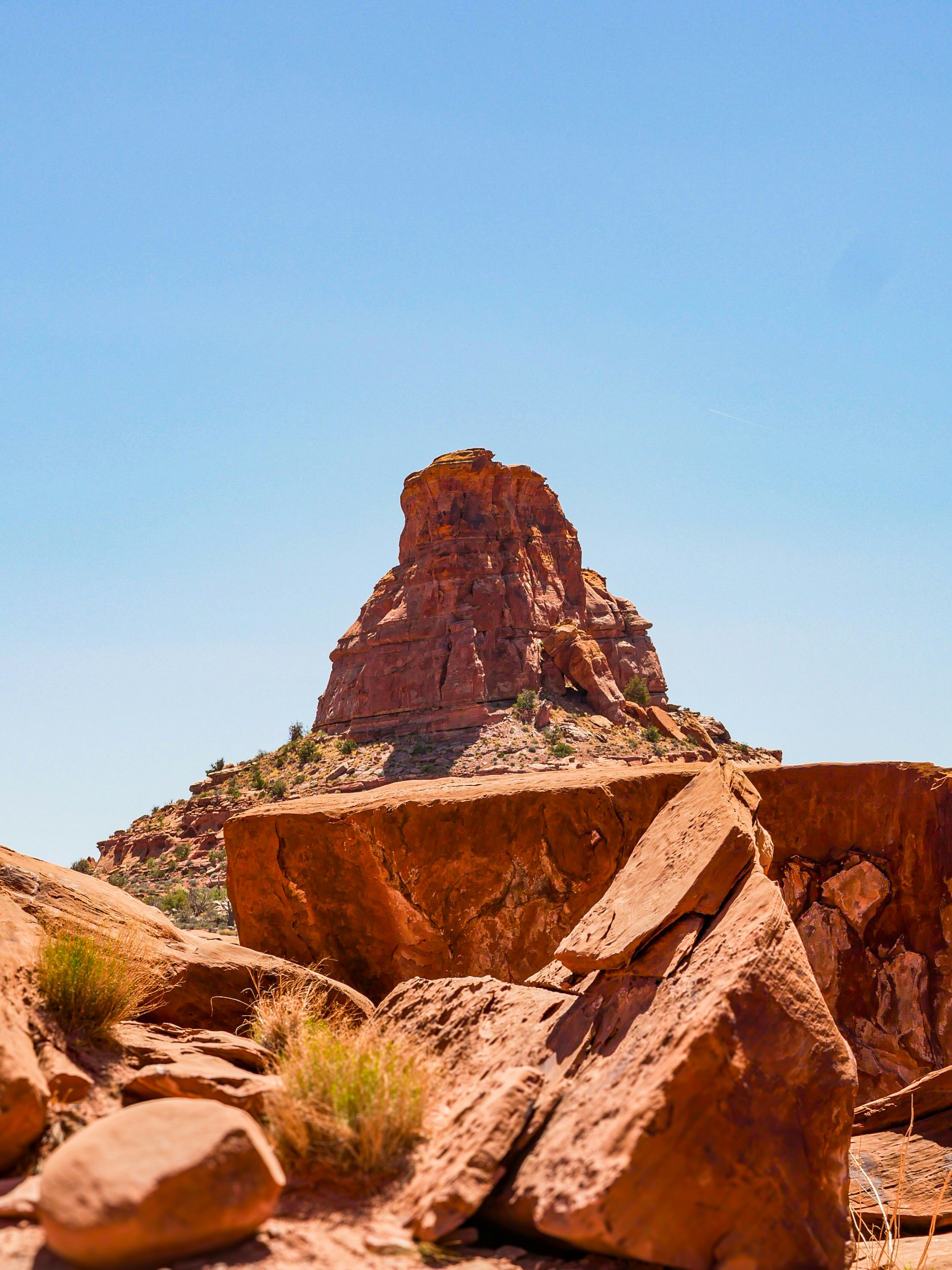 Photo by sophiadidonato