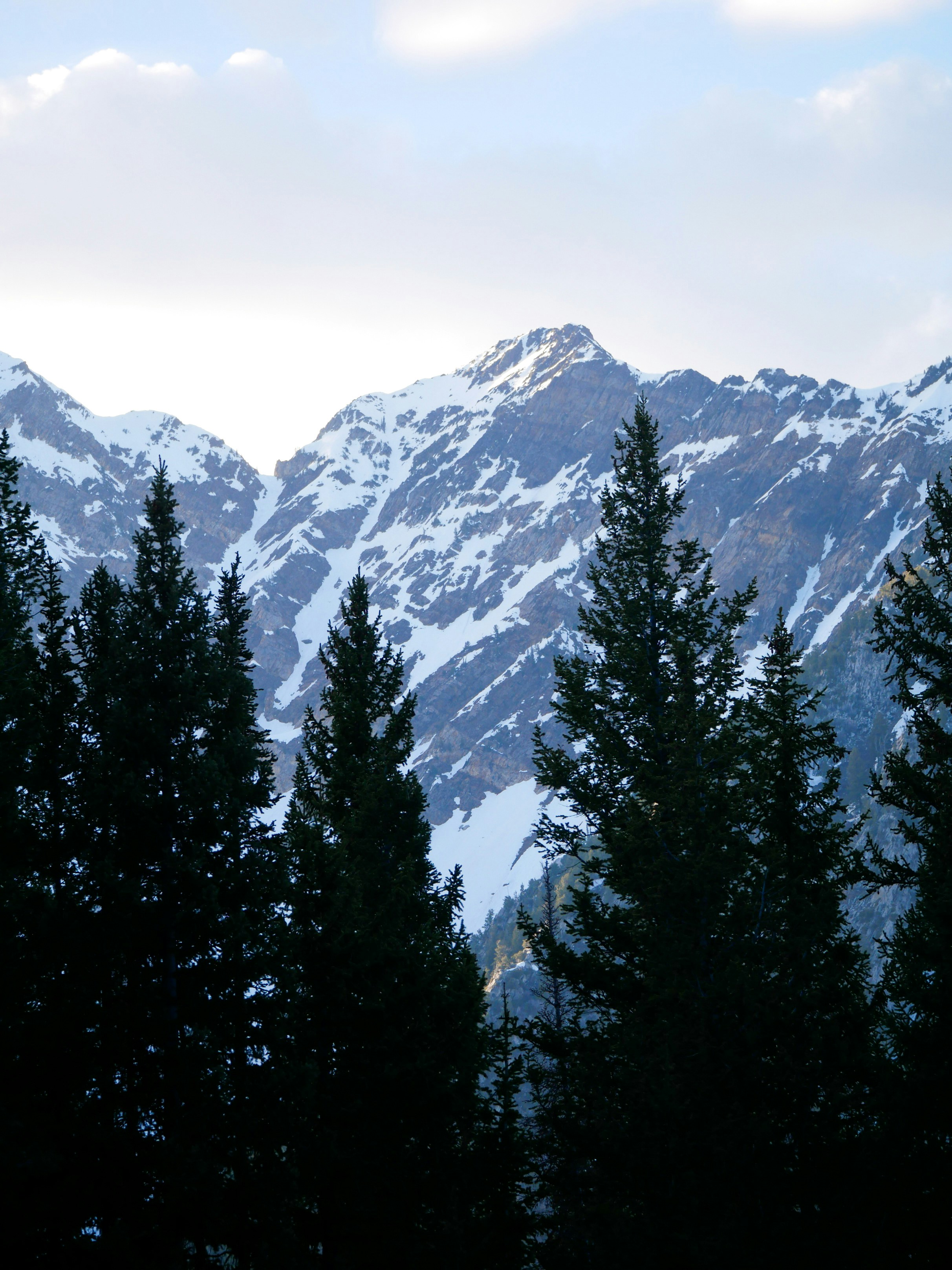 Photo by sophiadidonato