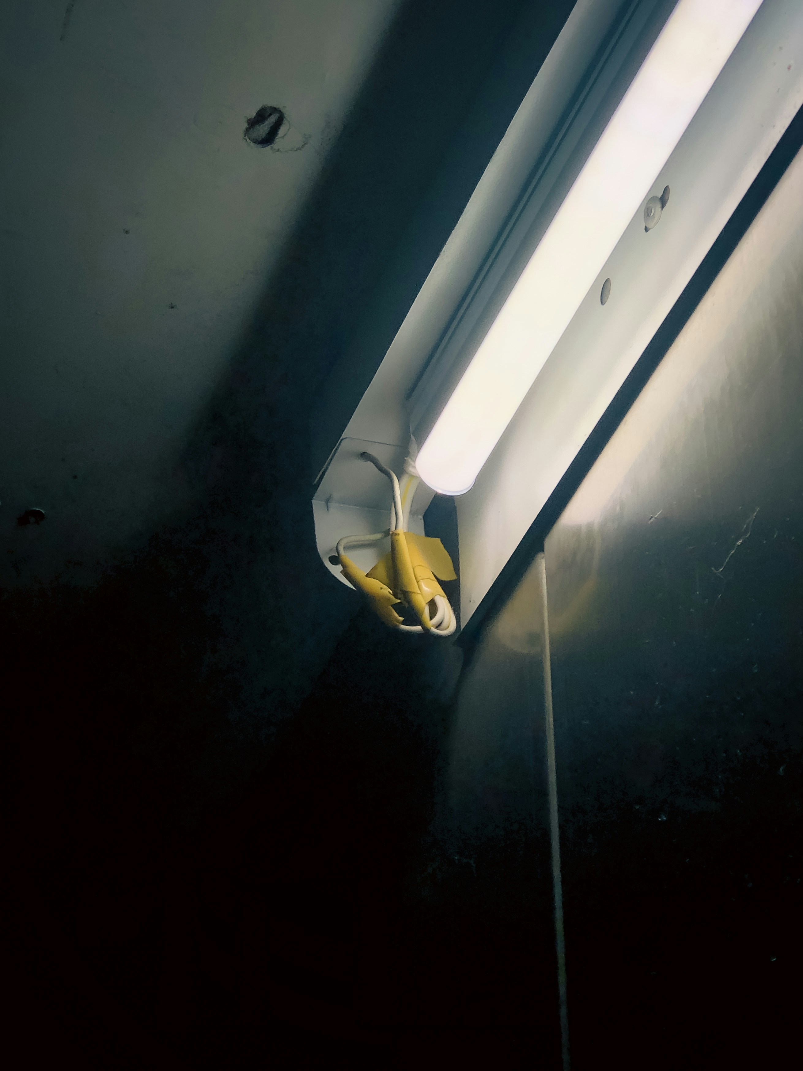 A banana is stuck in a fluorescent light.