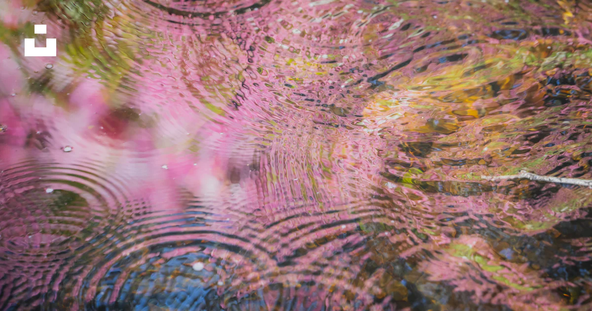 Reflect Image Pink Ripples in water reflect pink flowers. photo – Free Abstract nature ...