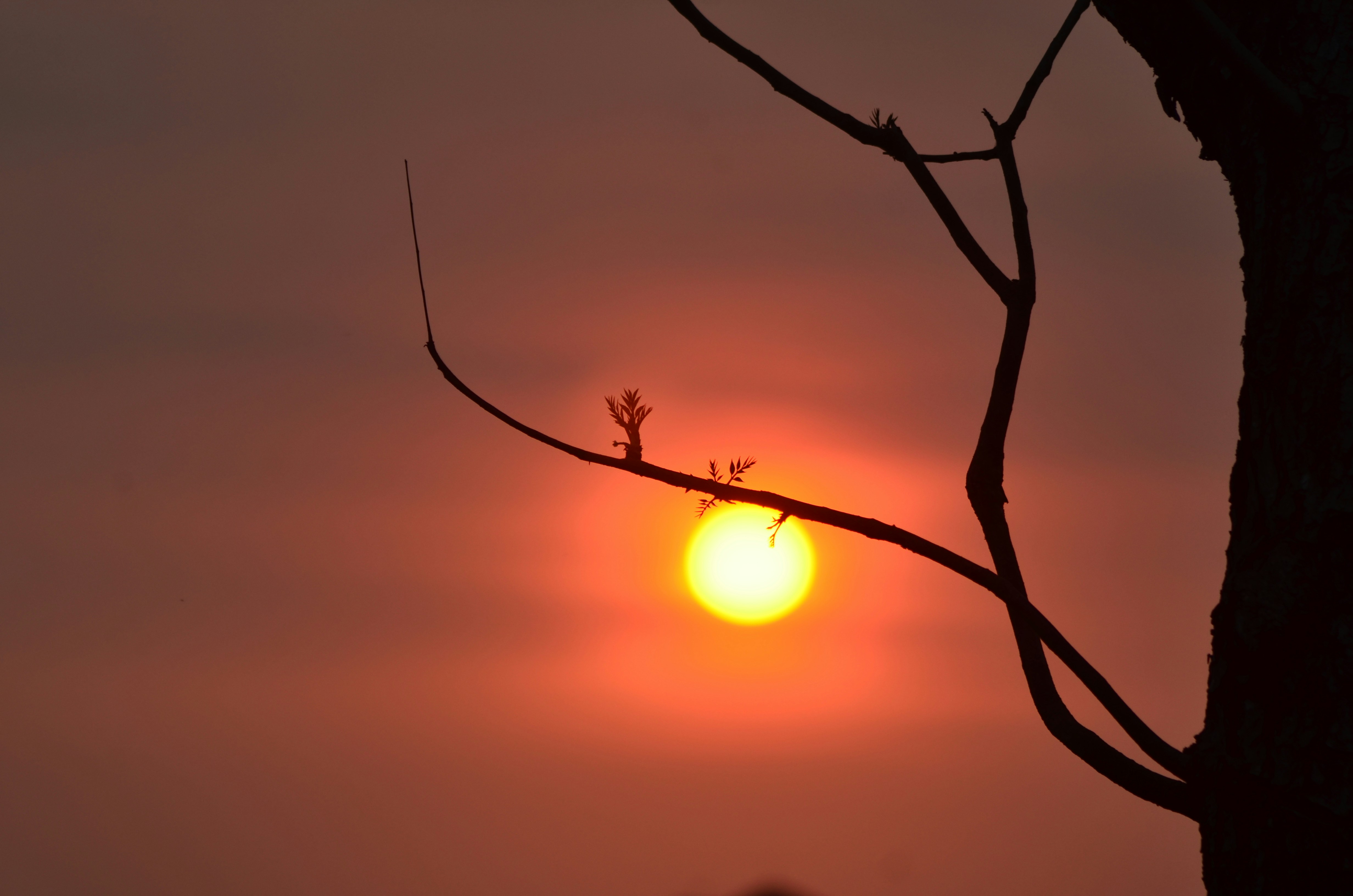 Photo by uripsupriyadi78