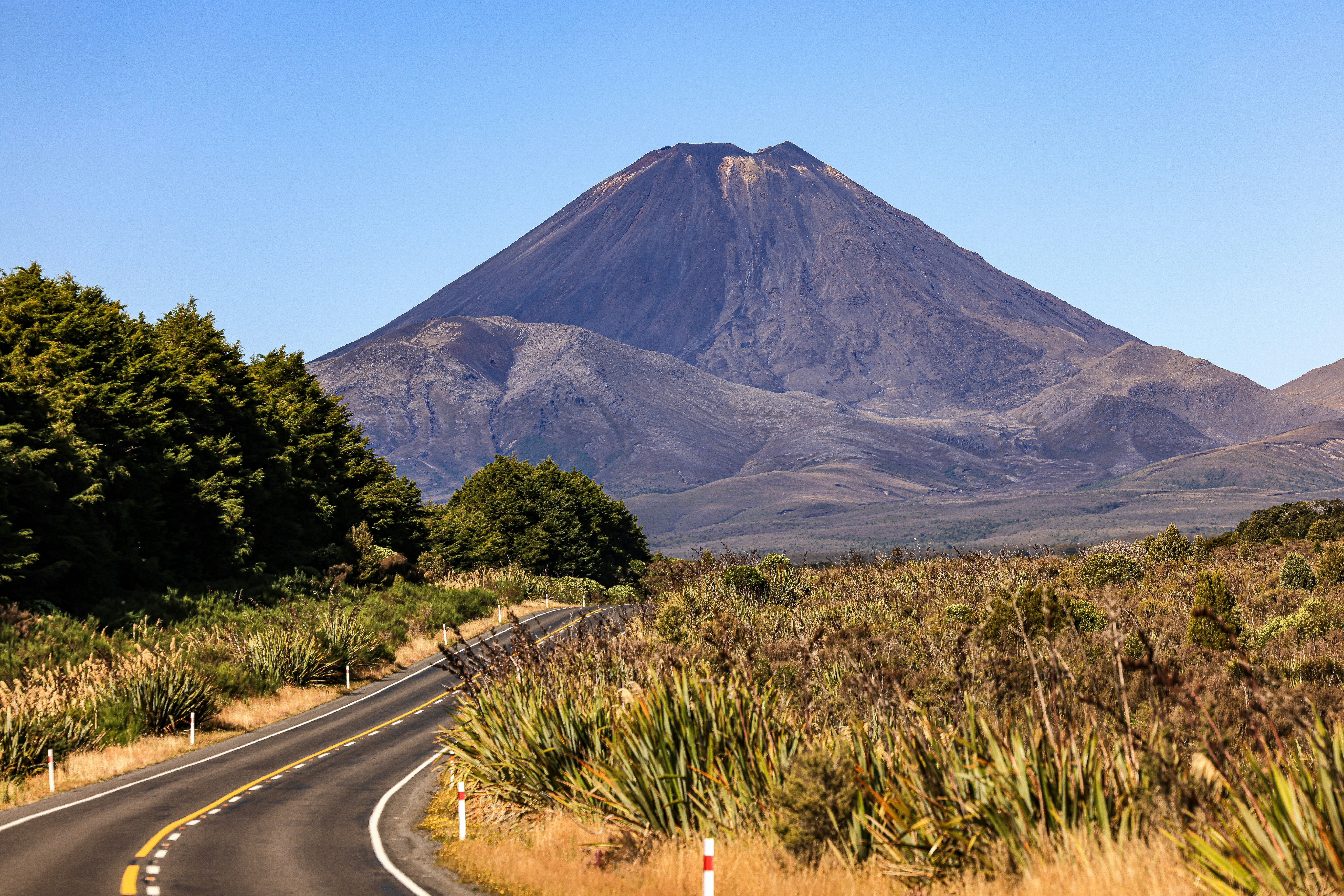 Photo by maximilian_brand