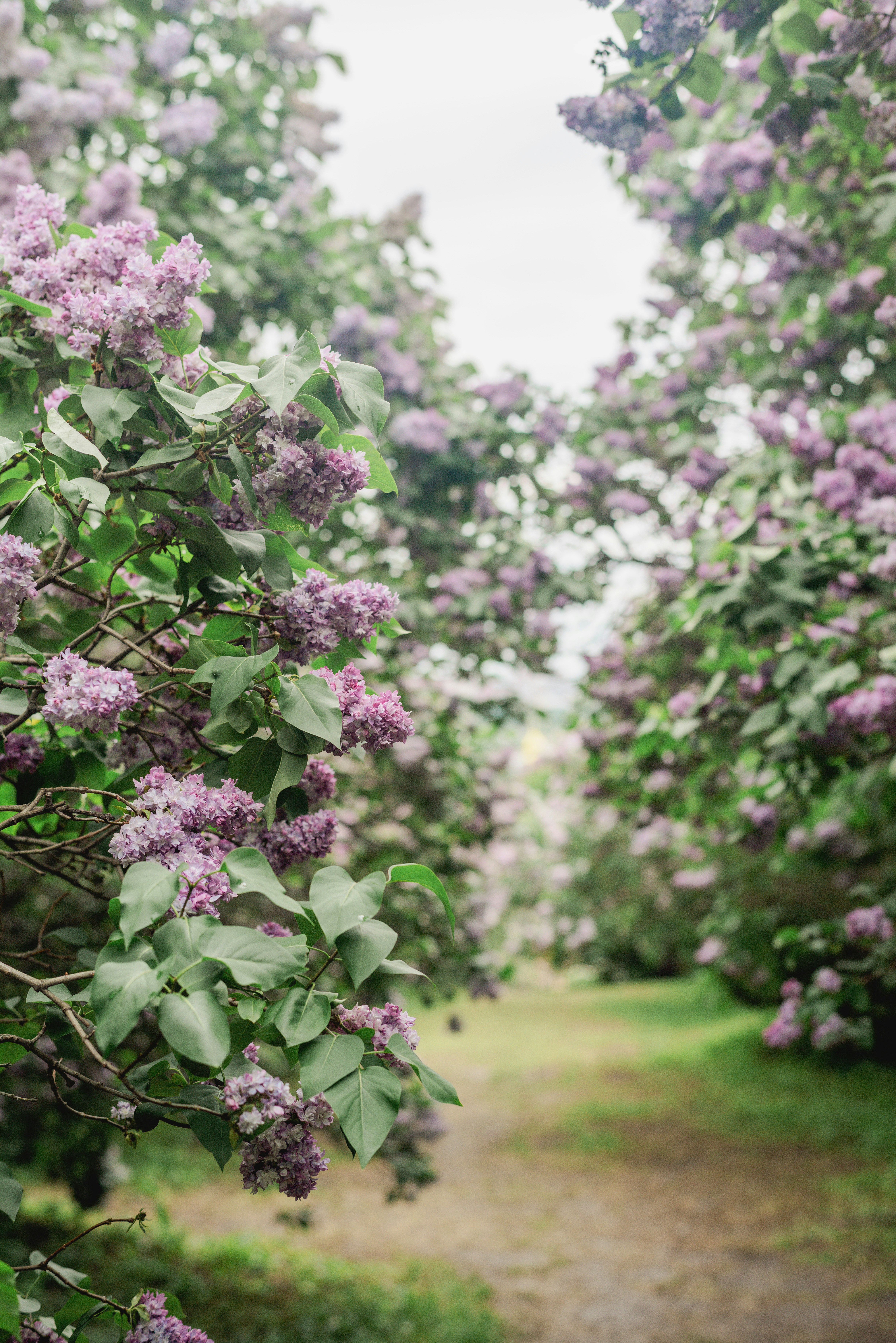 Photo by eugenivy_now