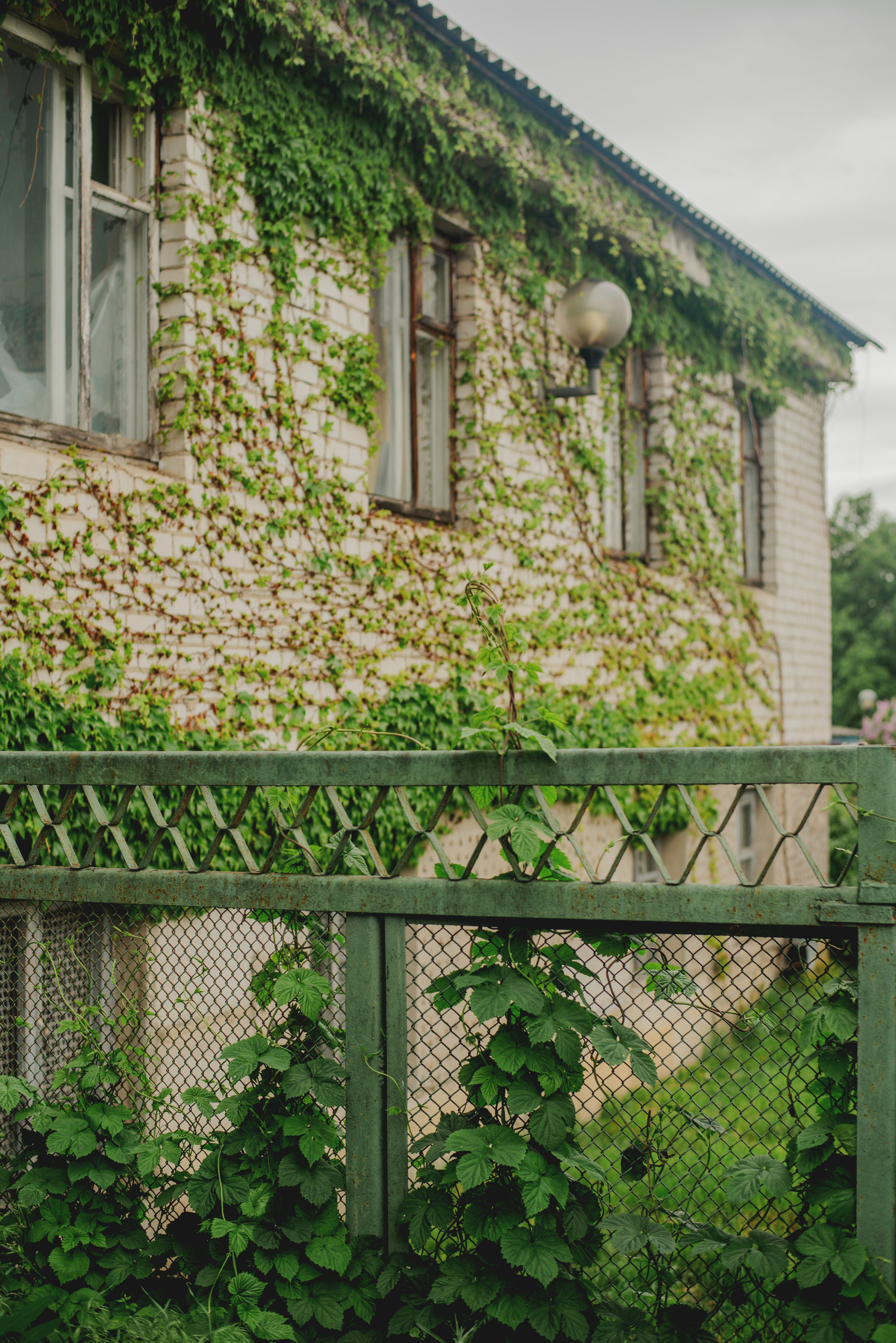 Photo by eugenivy_now