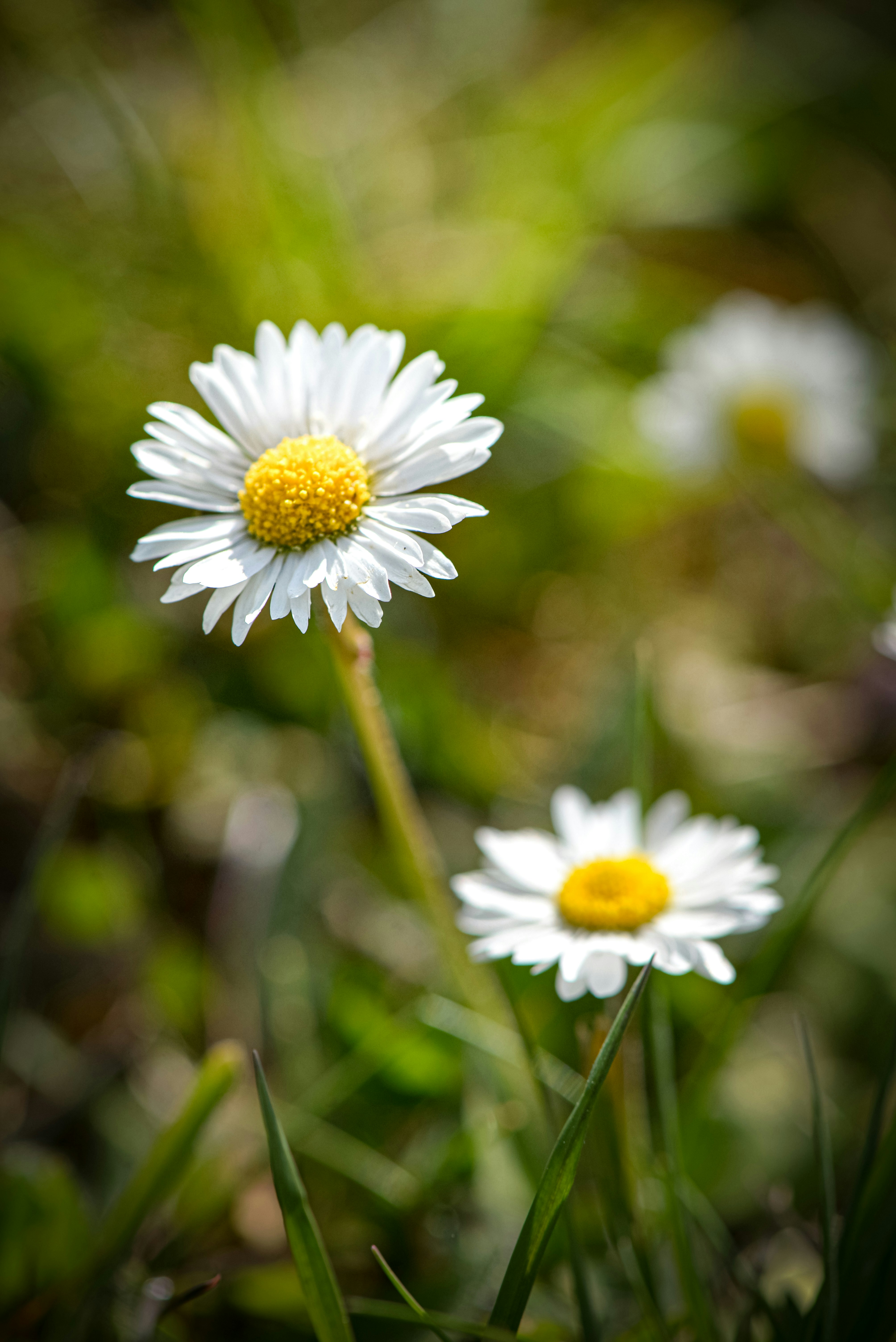 Photo by joeyoverton16