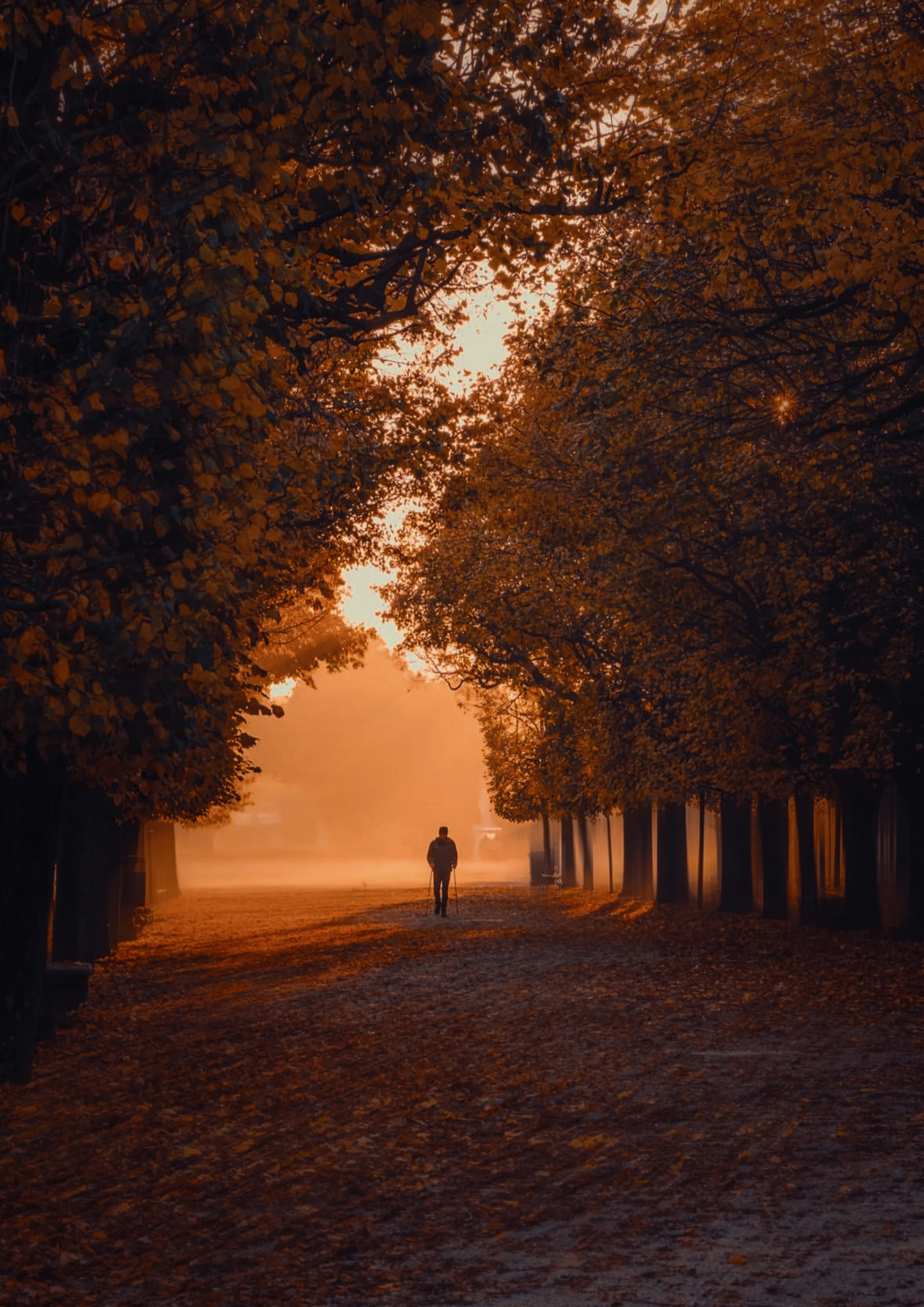 Photo by itsomidarmin