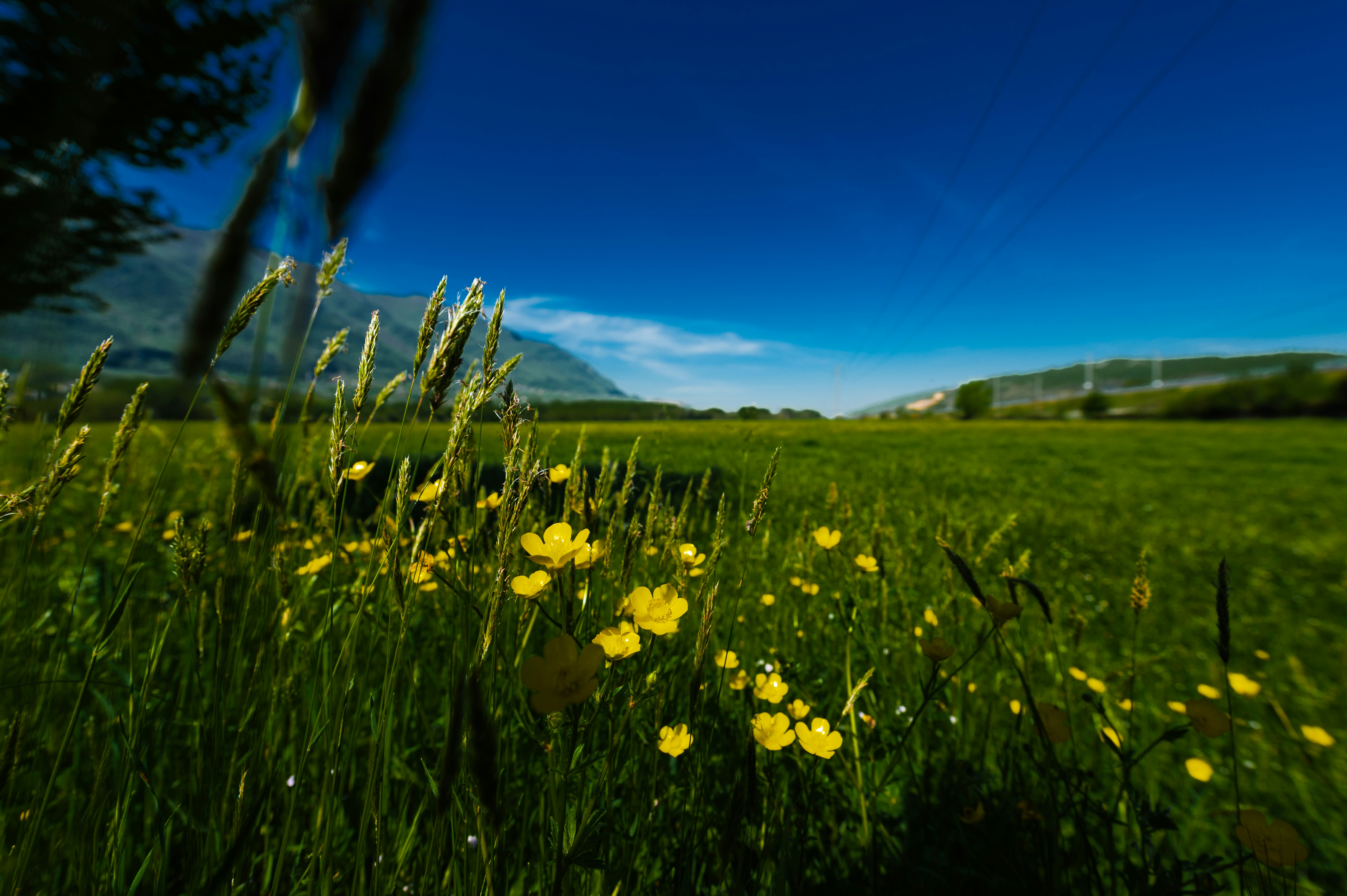 Photo by lucaakalu